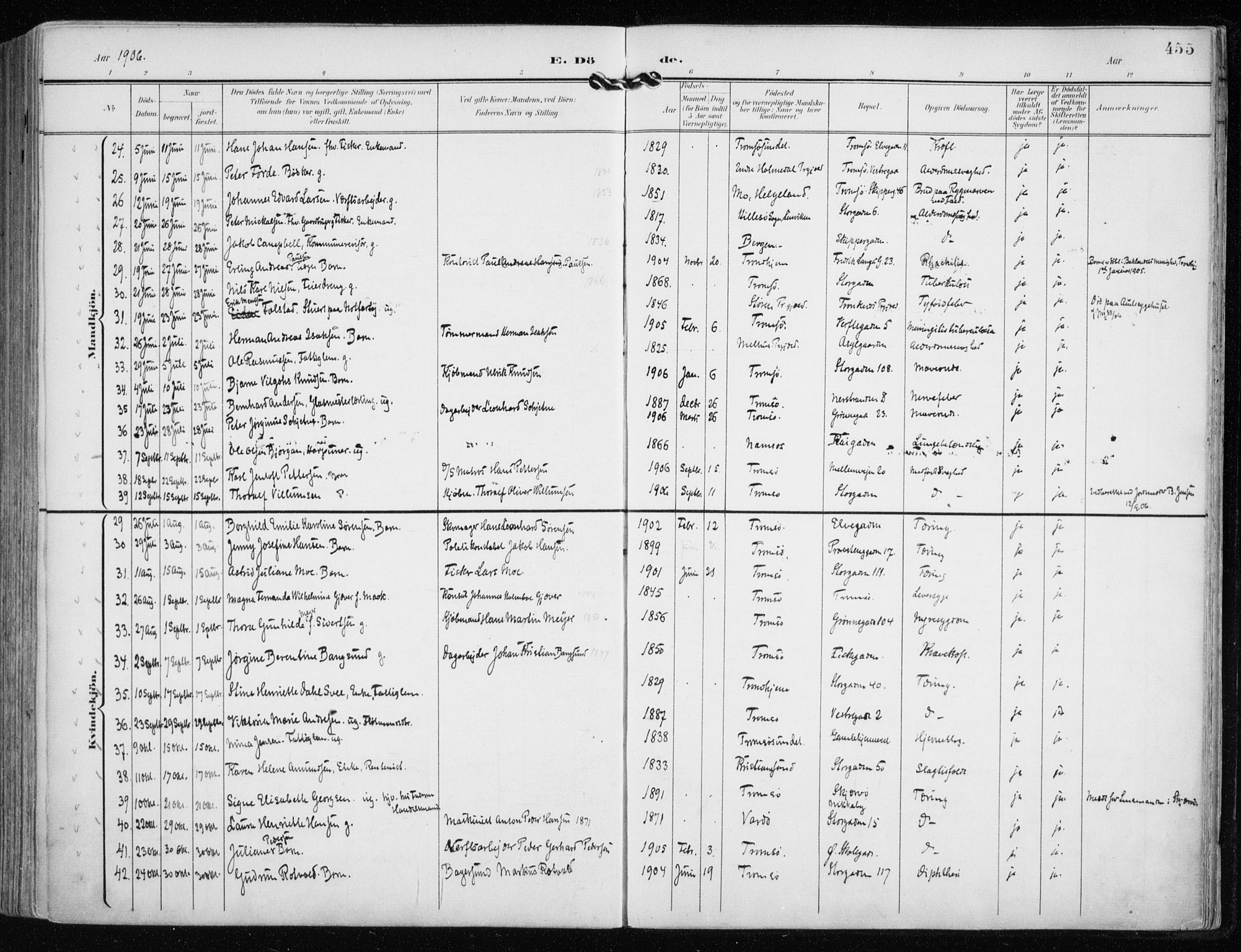 Tromsø sokneprestkontor/stiftsprosti/domprosti, AV/SATØ-S-1343/G/Ga/L0016kirke: Parish register (official) no. 16, 1899-1906, p. 455