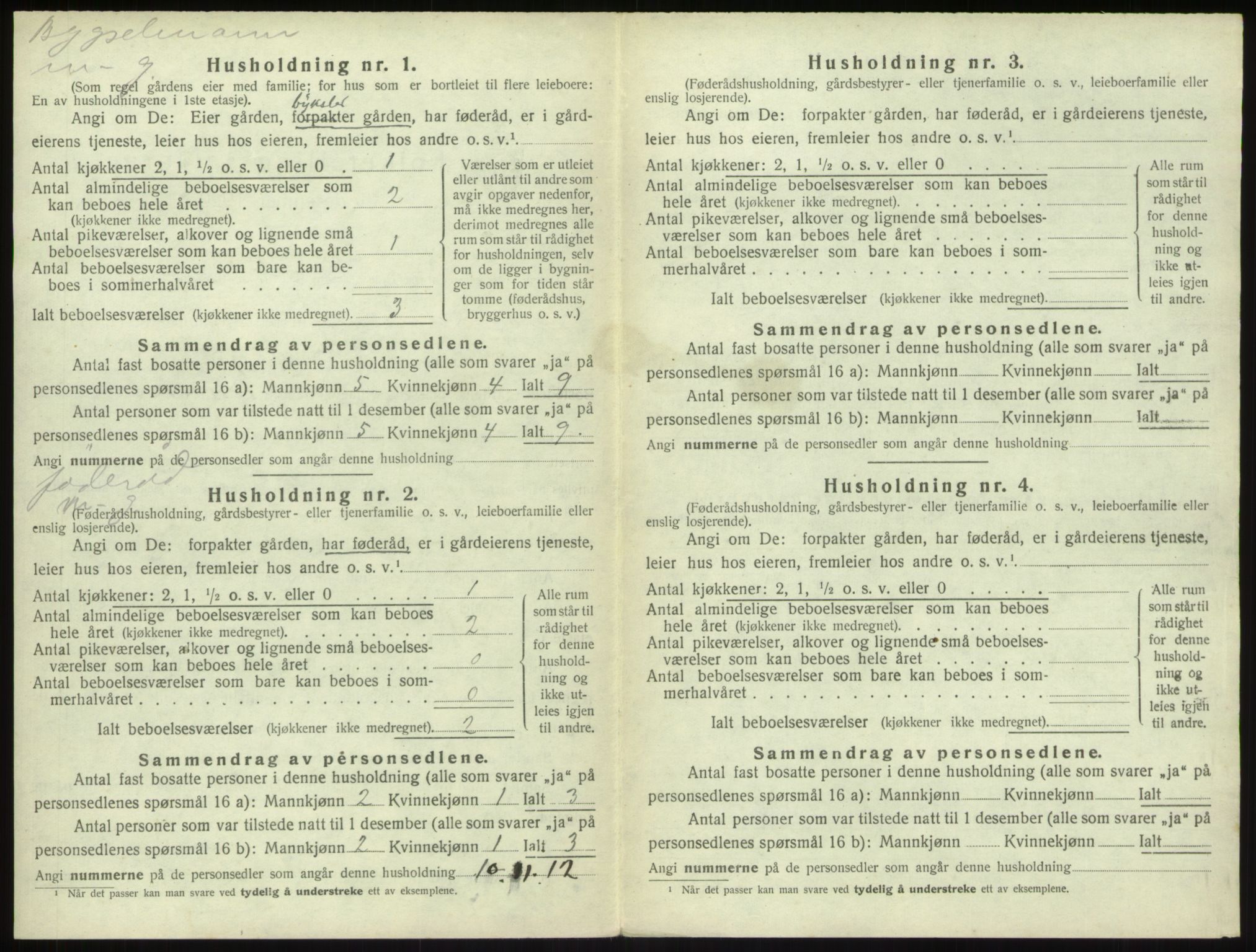 SAB, 1920 census for Sogndal, 1920, p. 1174