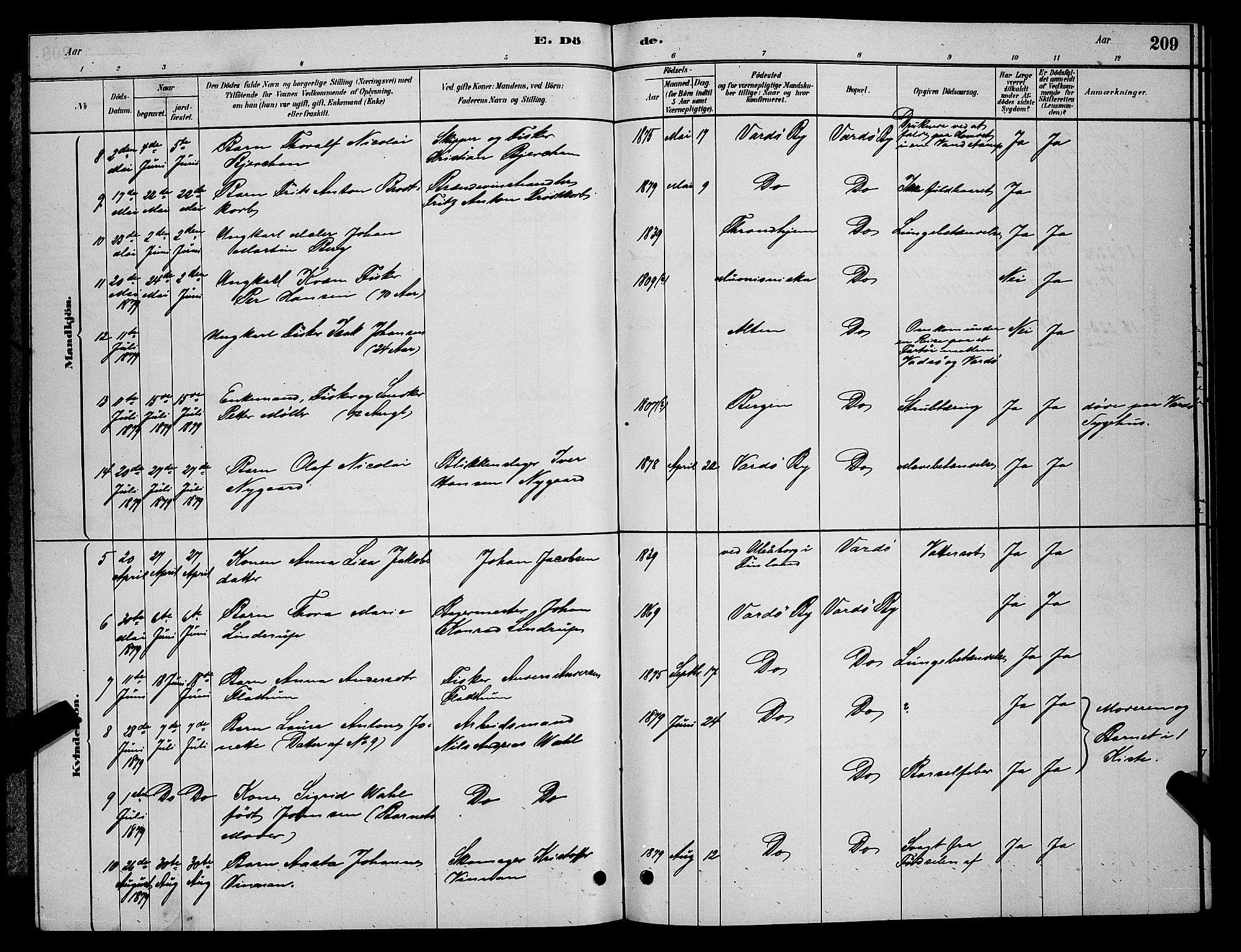 Vardø sokneprestkontor, AV/SATØ-S-1332/H/Hb/L0004klokker: Parish register (copy) no. 4, 1879-1887, p. 209