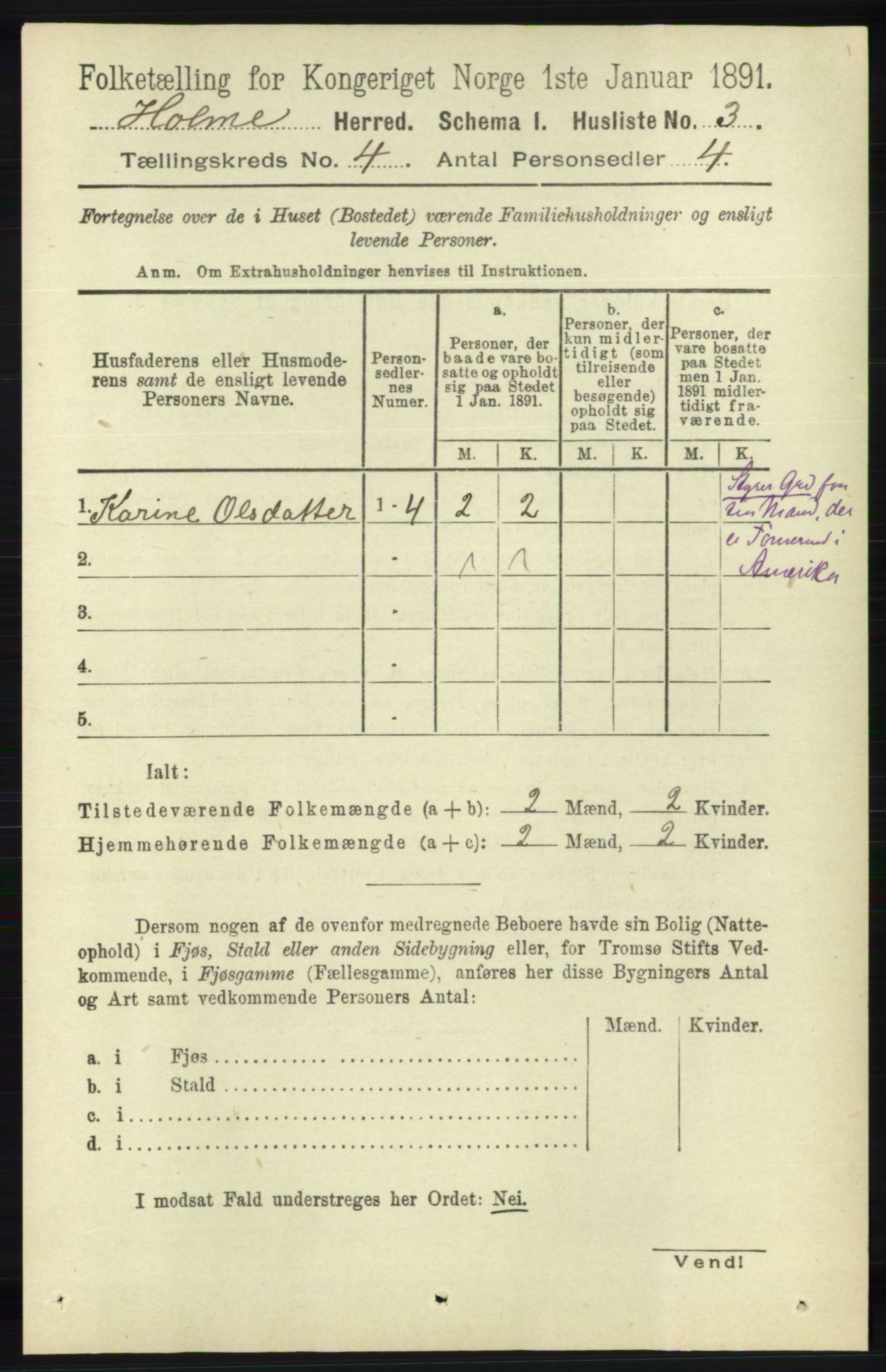 RA, 1891 census for 1020 Holum, 1891, p. 1003