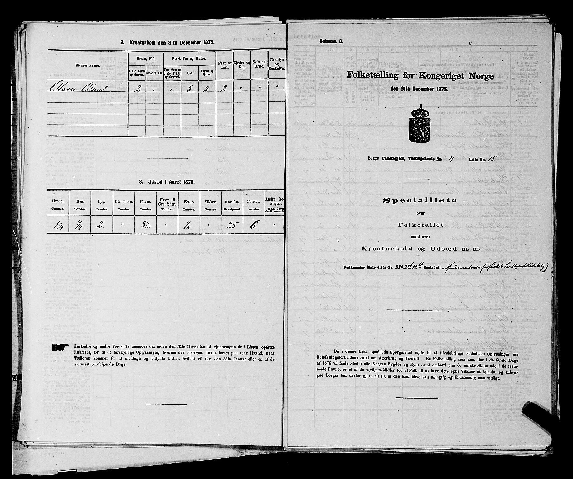 RA, 1875 census for 0113P Borge, 1875, p. 549