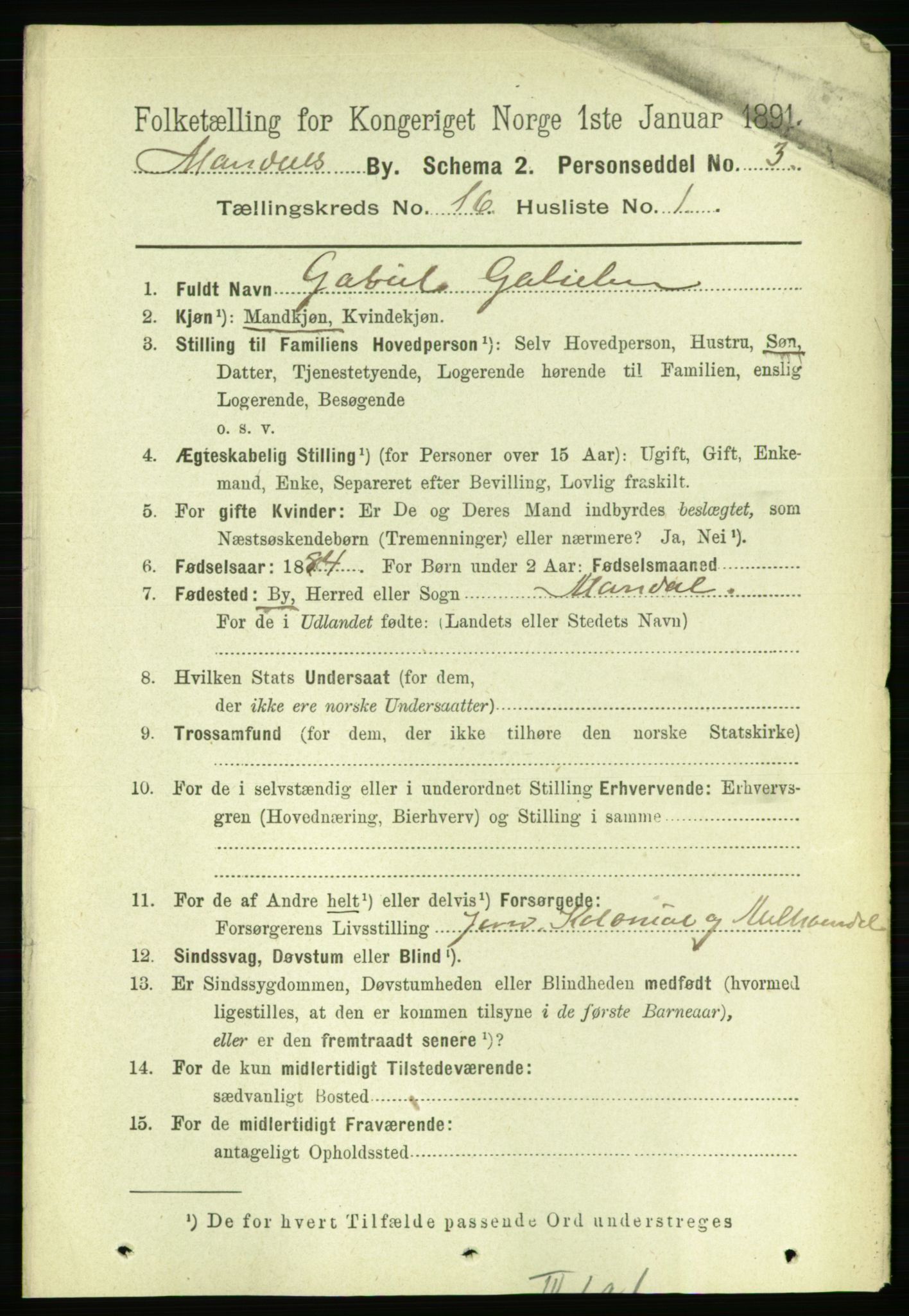 RA, 1891 census for 1002 Mandal, 1891, p. 3464