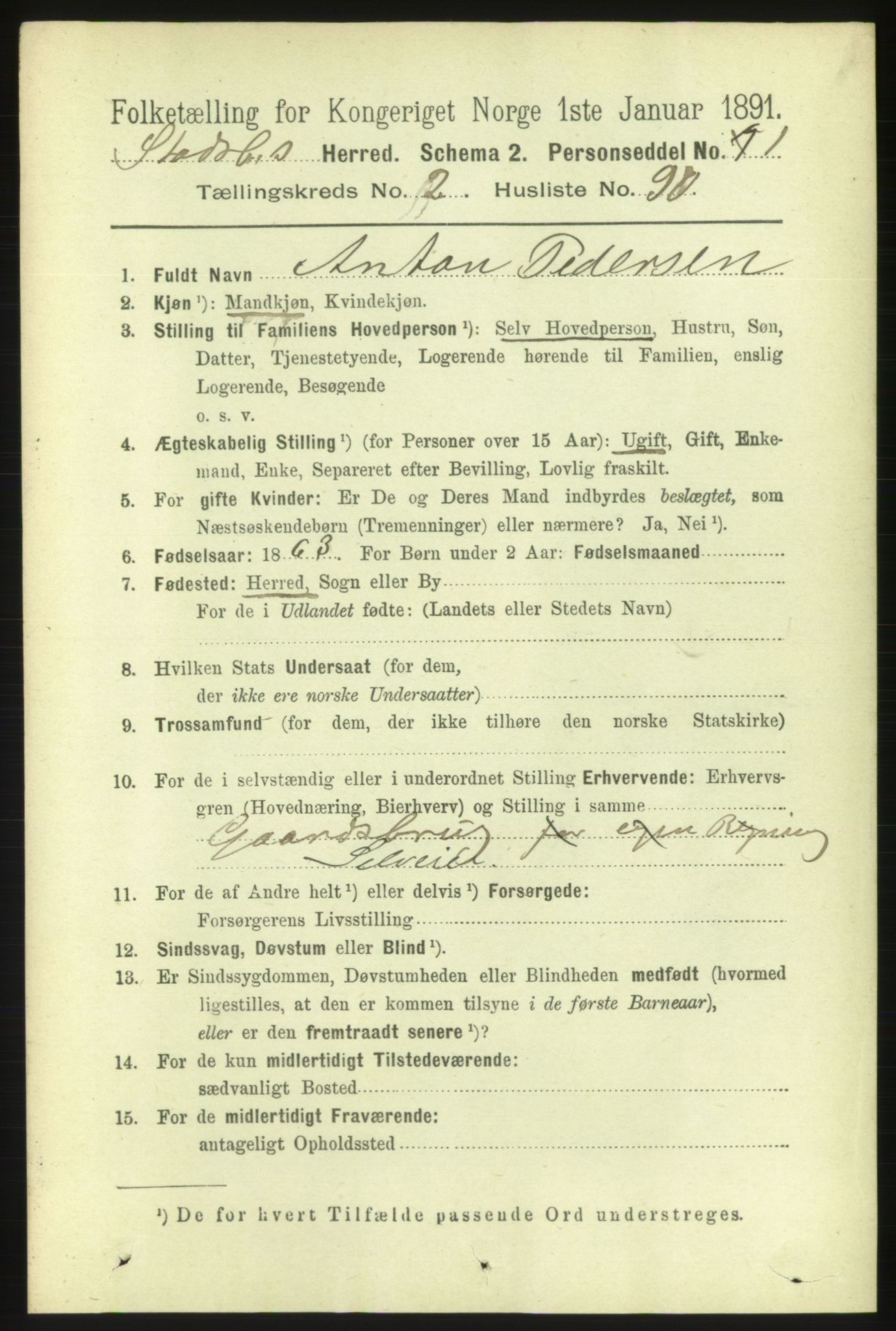 RA, 1891 census for 1625 Stadsbygd, 1891, p. 1294