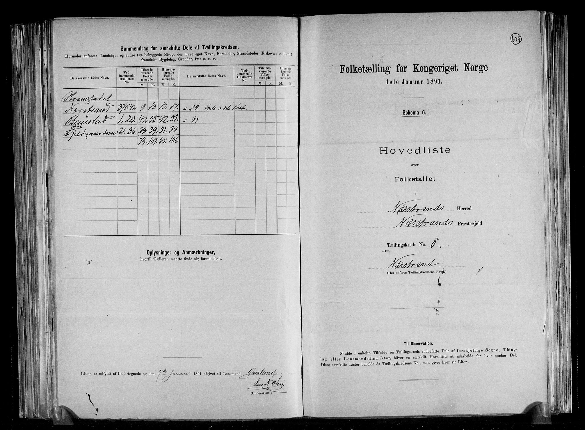 RA, 1891 census for 1139 Nedstrand, 1891, p. 19