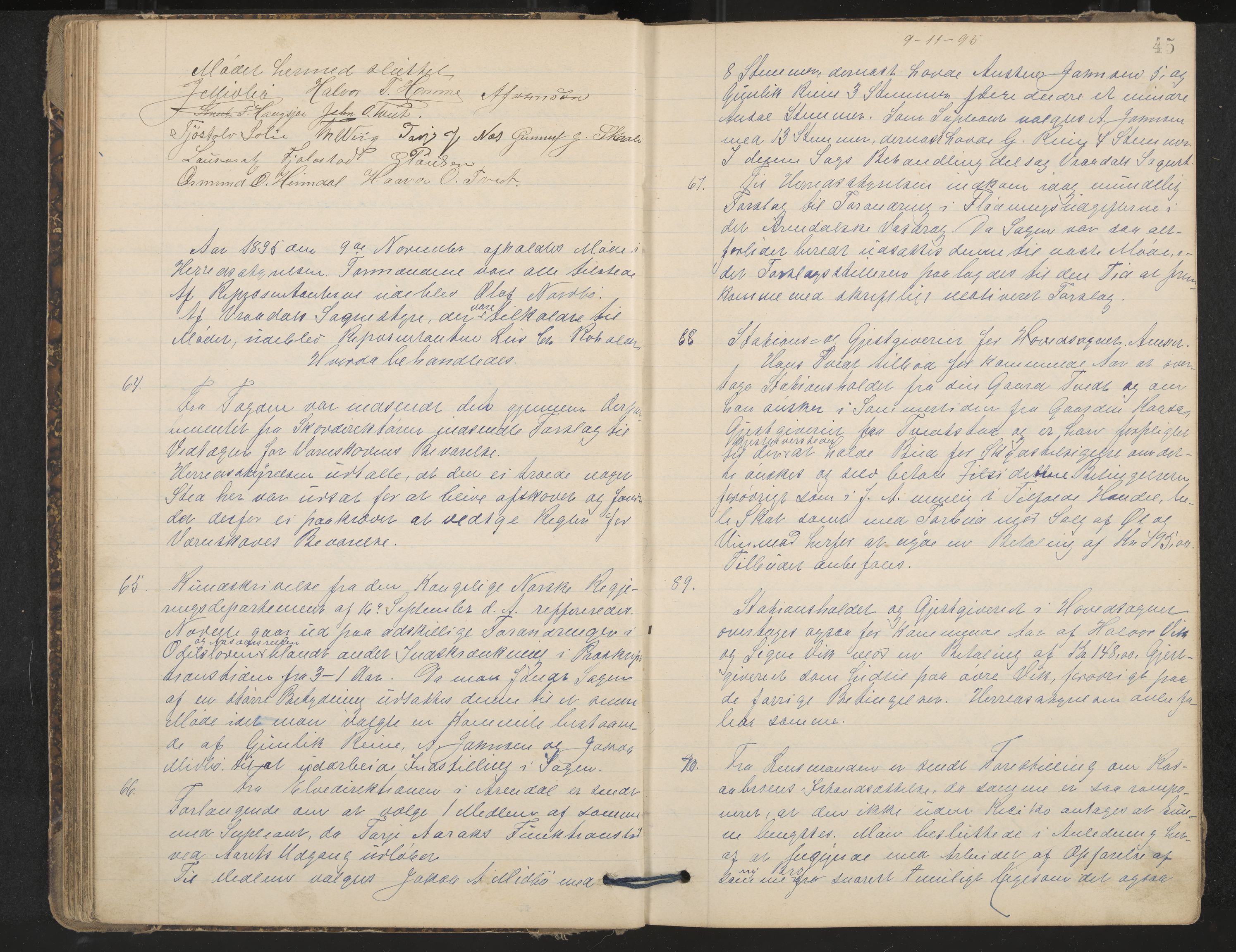 Nissedal formannskap og sentraladministrasjon, IKAK/0830021-1/A/L0003: Møtebok, 1892-1904, p. 45