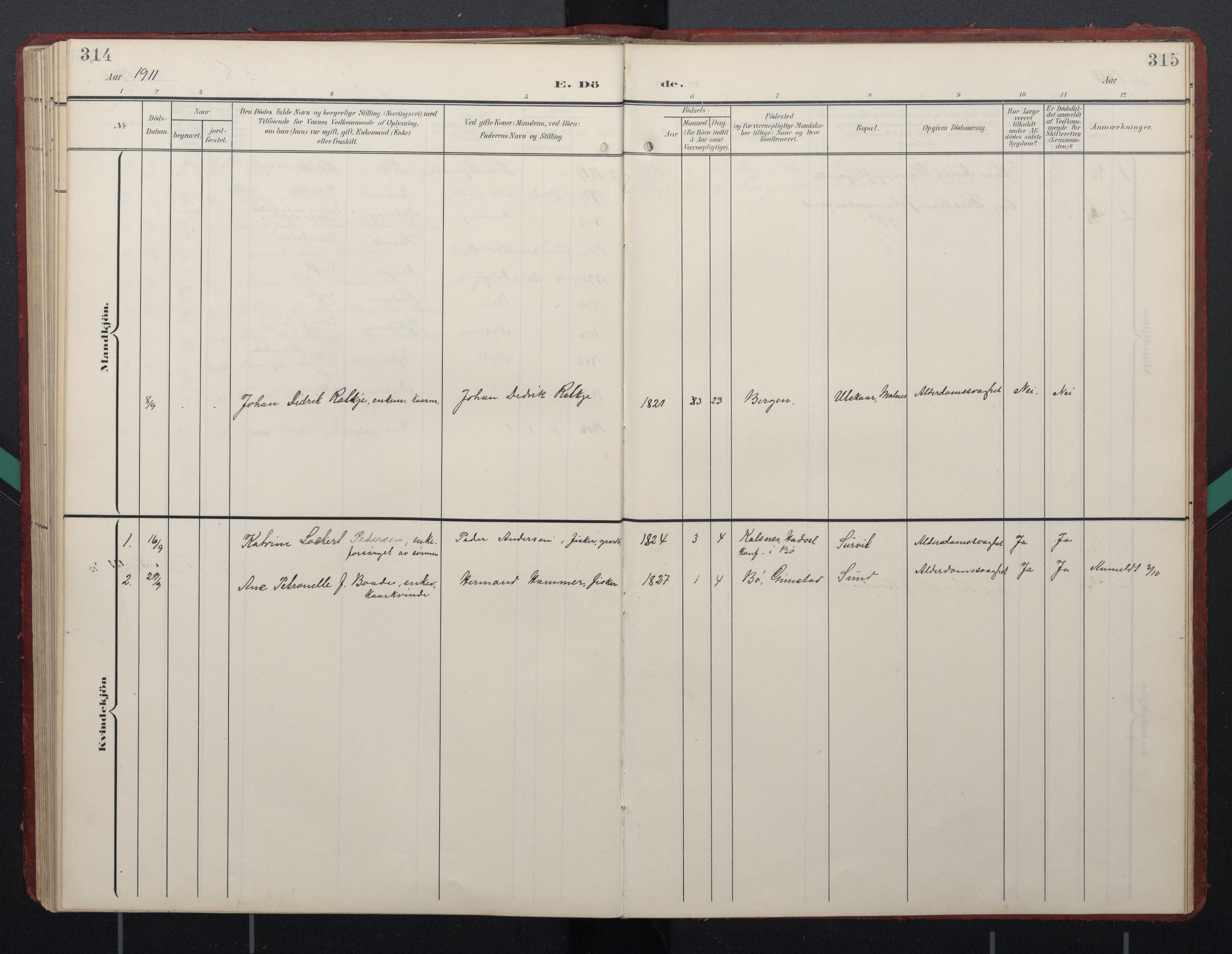 Ministerialprotokoller, klokkerbøker og fødselsregistre - Nordland, AV/SAT-A-1459/892/L1322: Parish register (official) no. 892A03, 1904-1921, p. 314-315