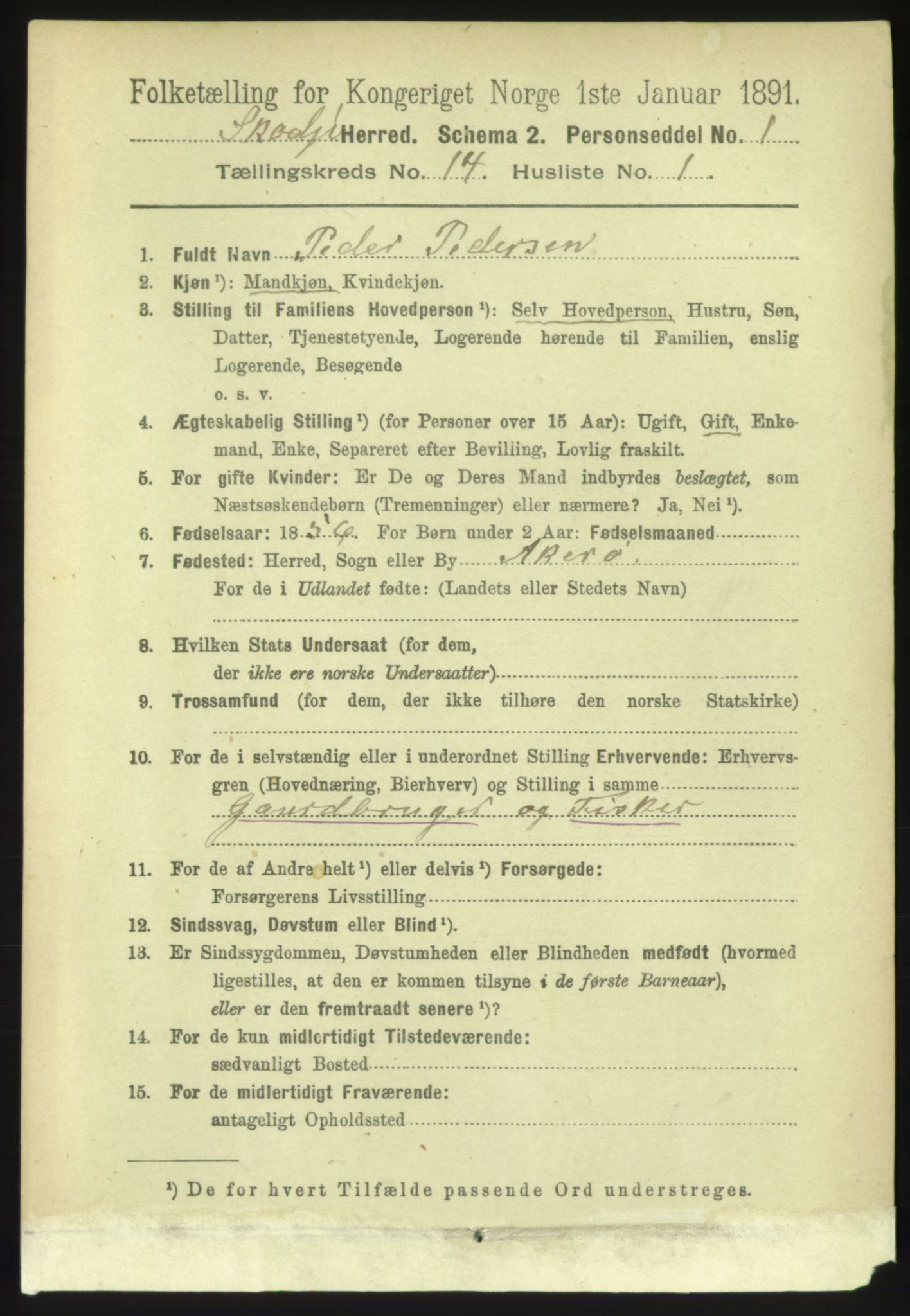 RA, 1891 census for 1529 Skodje, 1891, p. 3013