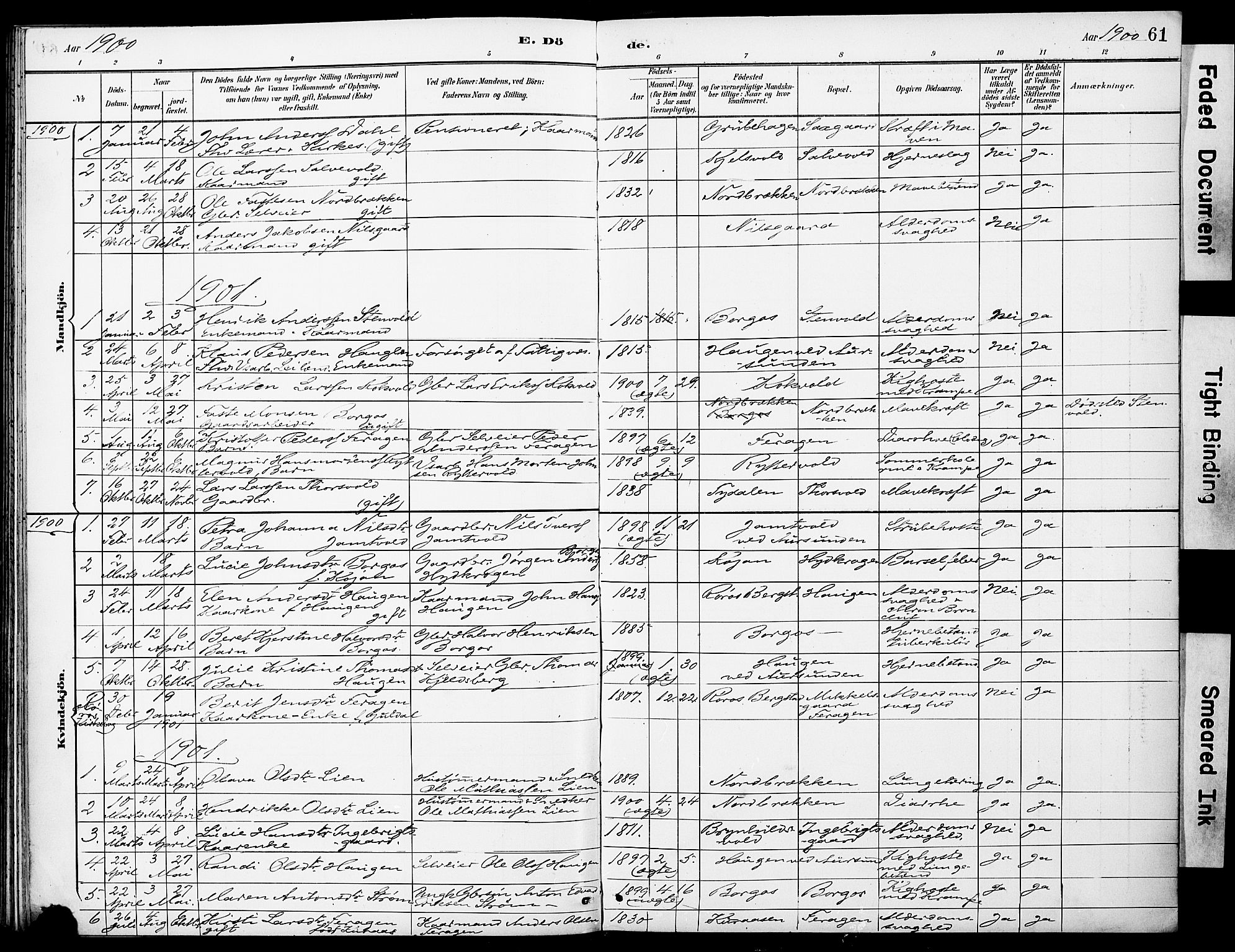 Ministerialprotokoller, klokkerbøker og fødselsregistre - Sør-Trøndelag, SAT/A-1456/683/L0948: Parish register (official) no. 683A01, 1891-1902, p. 61