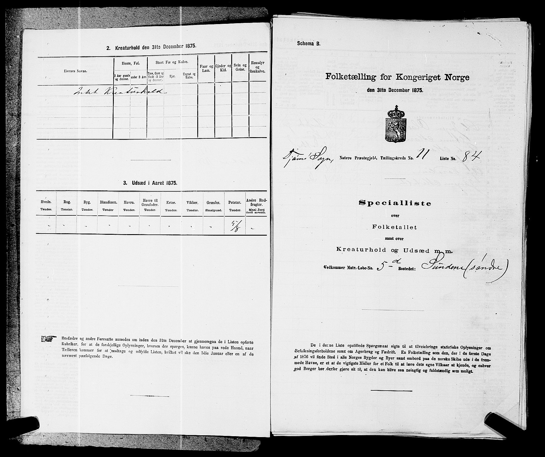 SAKO, 1875 census for 0722P Nøtterøy, 1875, p. 2138