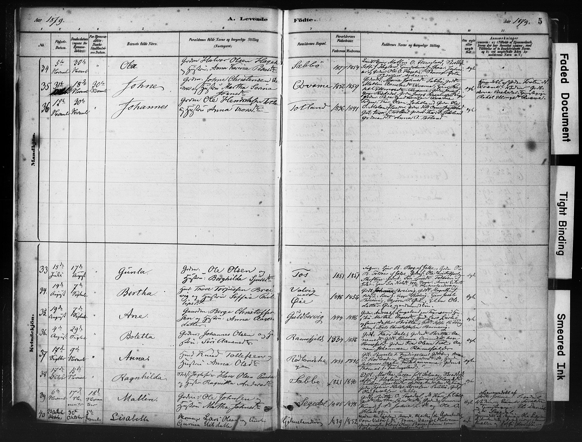 Hjelmeland sokneprestkontor, AV/SAST-A-101843/01/IV/L0014: Parish register (official) no. A 14, 1879-1900, p. 5