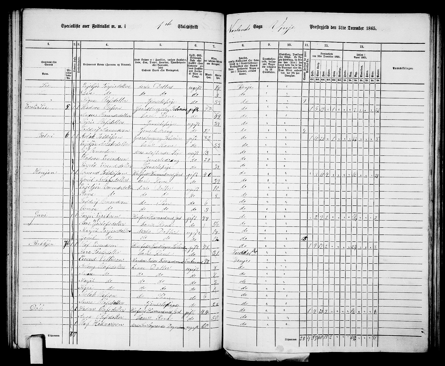 RA, 1865 census for Vinje, 1865, p. 8