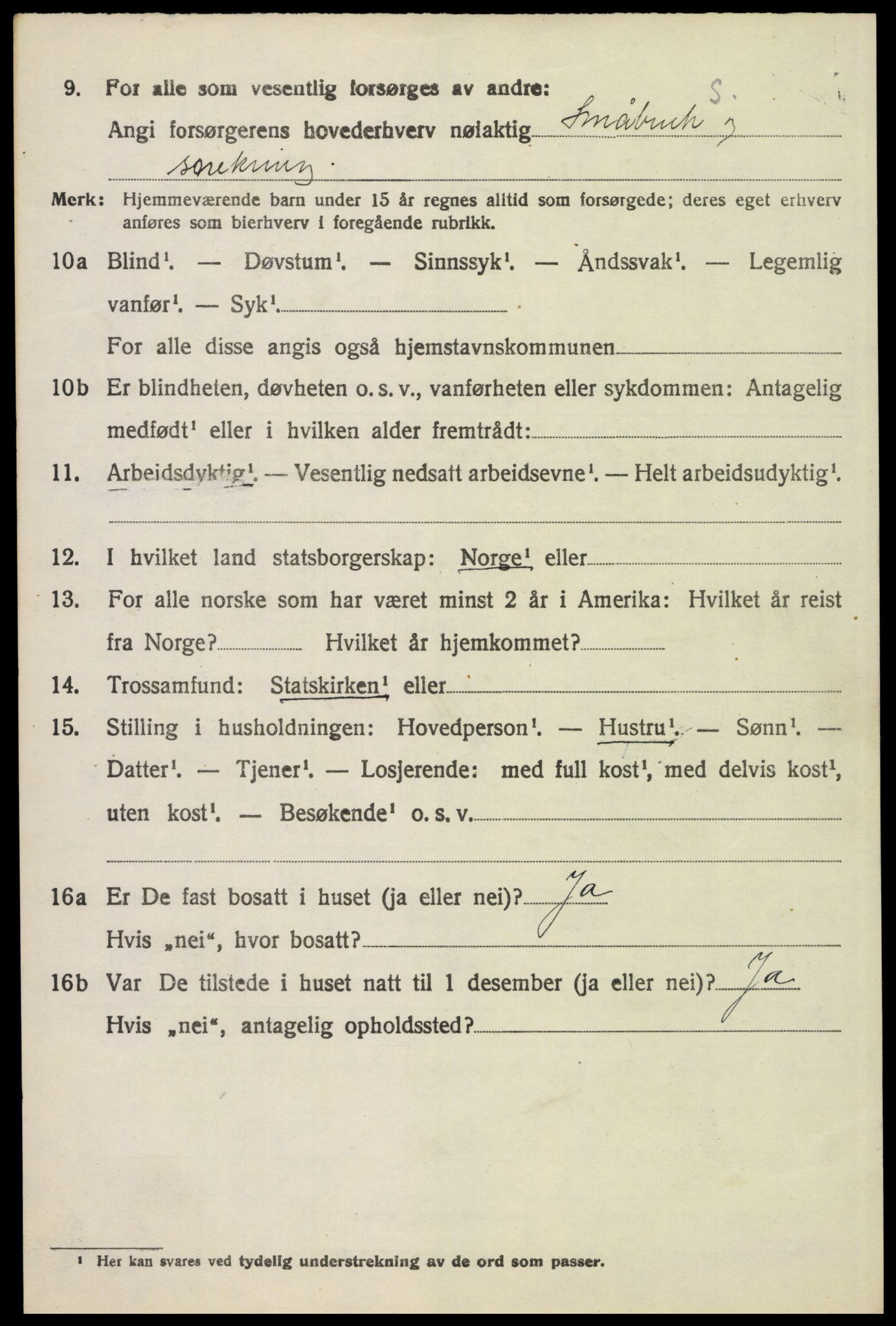 SAH, 1920 census for Tynset, 1920, p. 7223