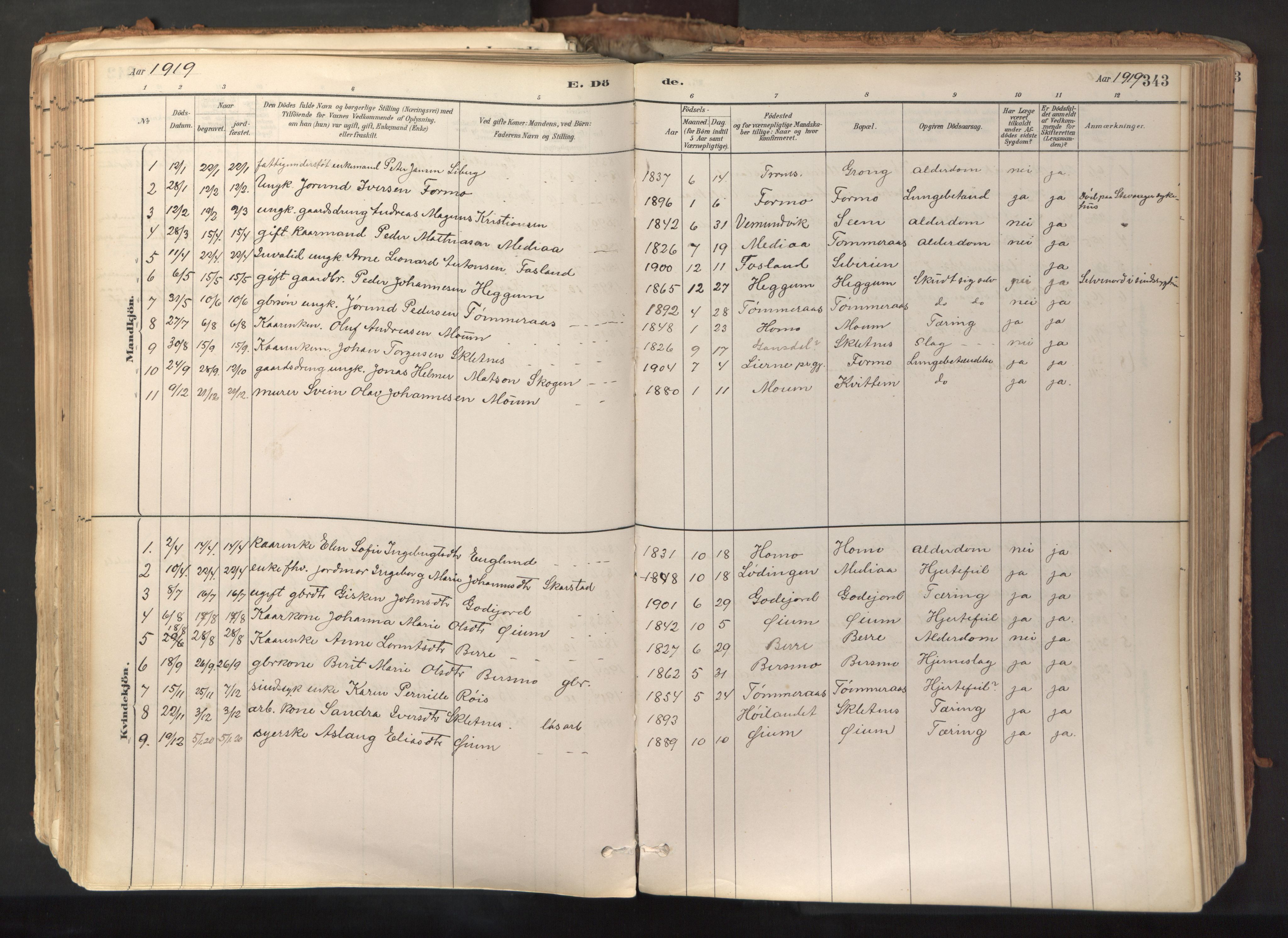 Ministerialprotokoller, klokkerbøker og fødselsregistre - Nord-Trøndelag, AV/SAT-A-1458/758/L0519: Parish register (official) no. 758A04, 1880-1926, p. 343