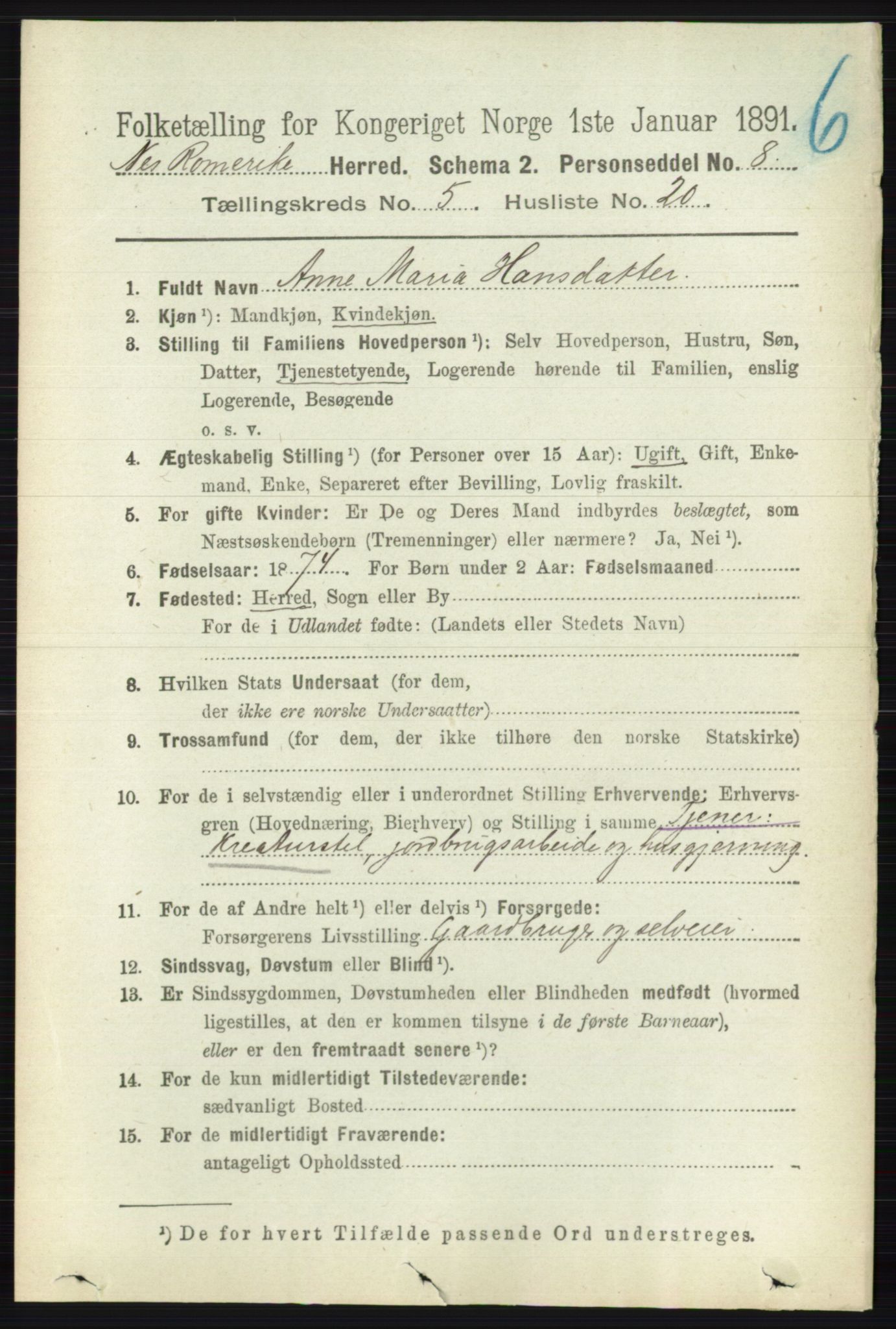RA, 1891 census for 0236 Nes, 1891, p. 2903