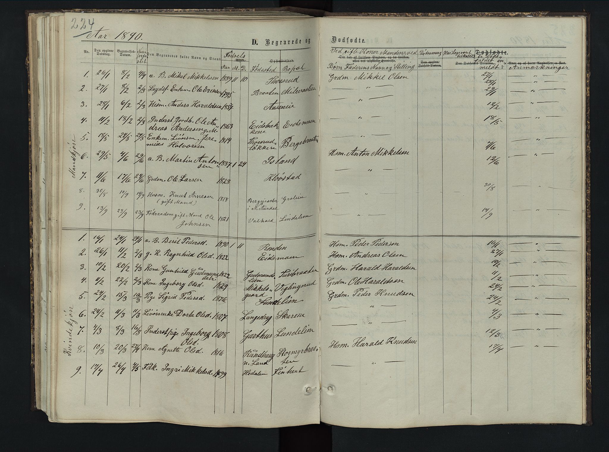 Sør-Aurdal prestekontor, AV/SAH-PREST-128/H/Ha/Hab/L0005: Parish register (copy) no. 5, 1866-1893, p. 224