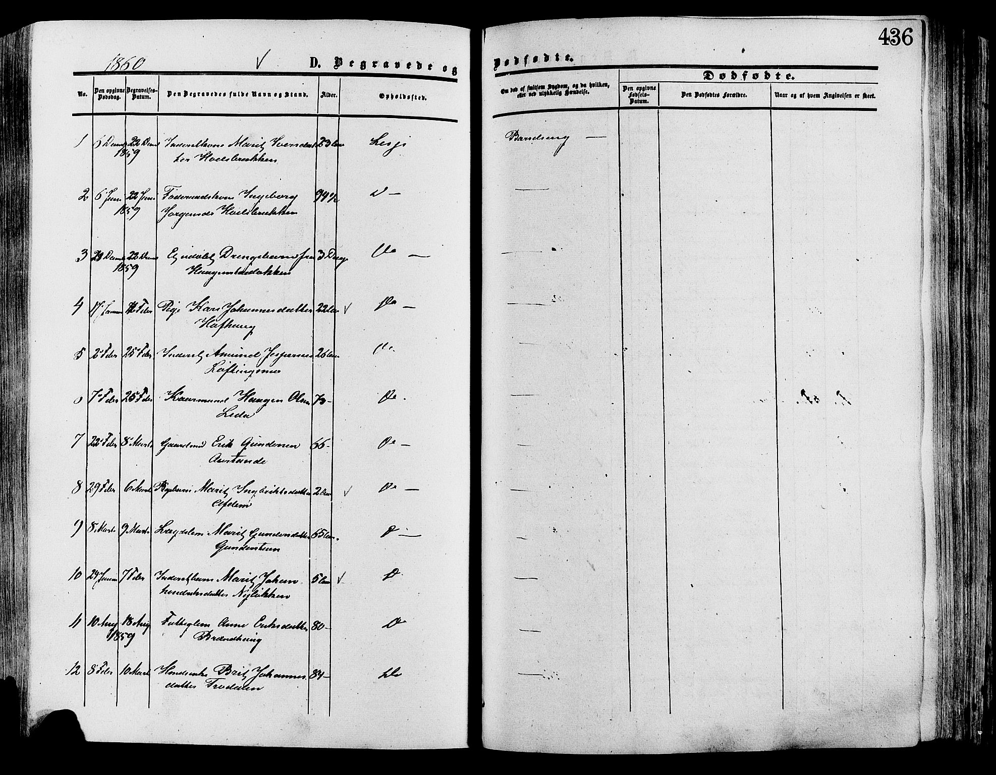 Lesja prestekontor, SAH/PREST-068/H/Ha/Haa/L0008: Parish register (official) no. 8, 1854-1880, p. 436