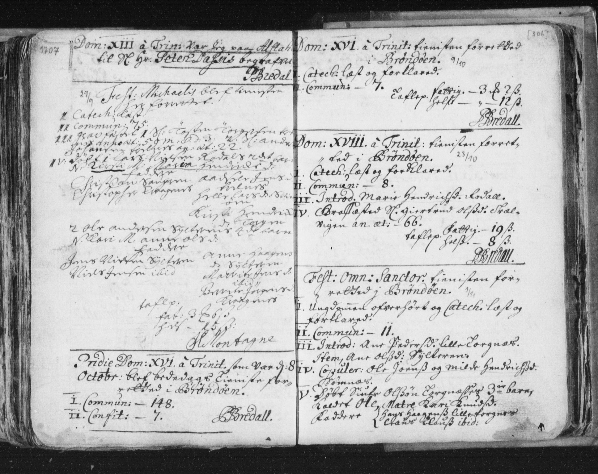 Ministerialprotokoller, klokkerbøker og fødselsregistre - Nordland, SAT/A-1459/813/L0192: Parish register (official) no. 813A02, 1677-1718, p. 306