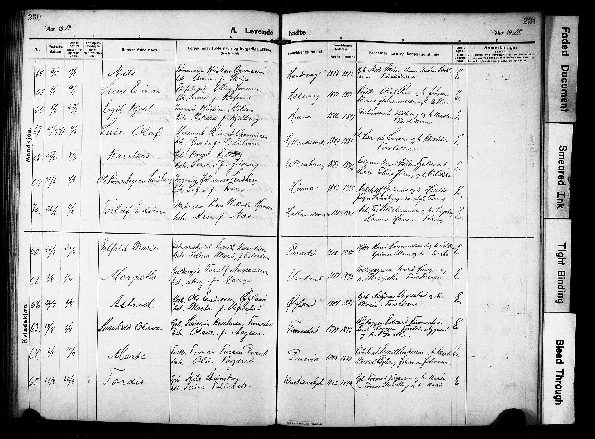 Hetland sokneprestkontor, AV/SAST-A-101826/30/30BB/L0008: Parish register (copy) no. B 8, 1910-1921, p. 230-231