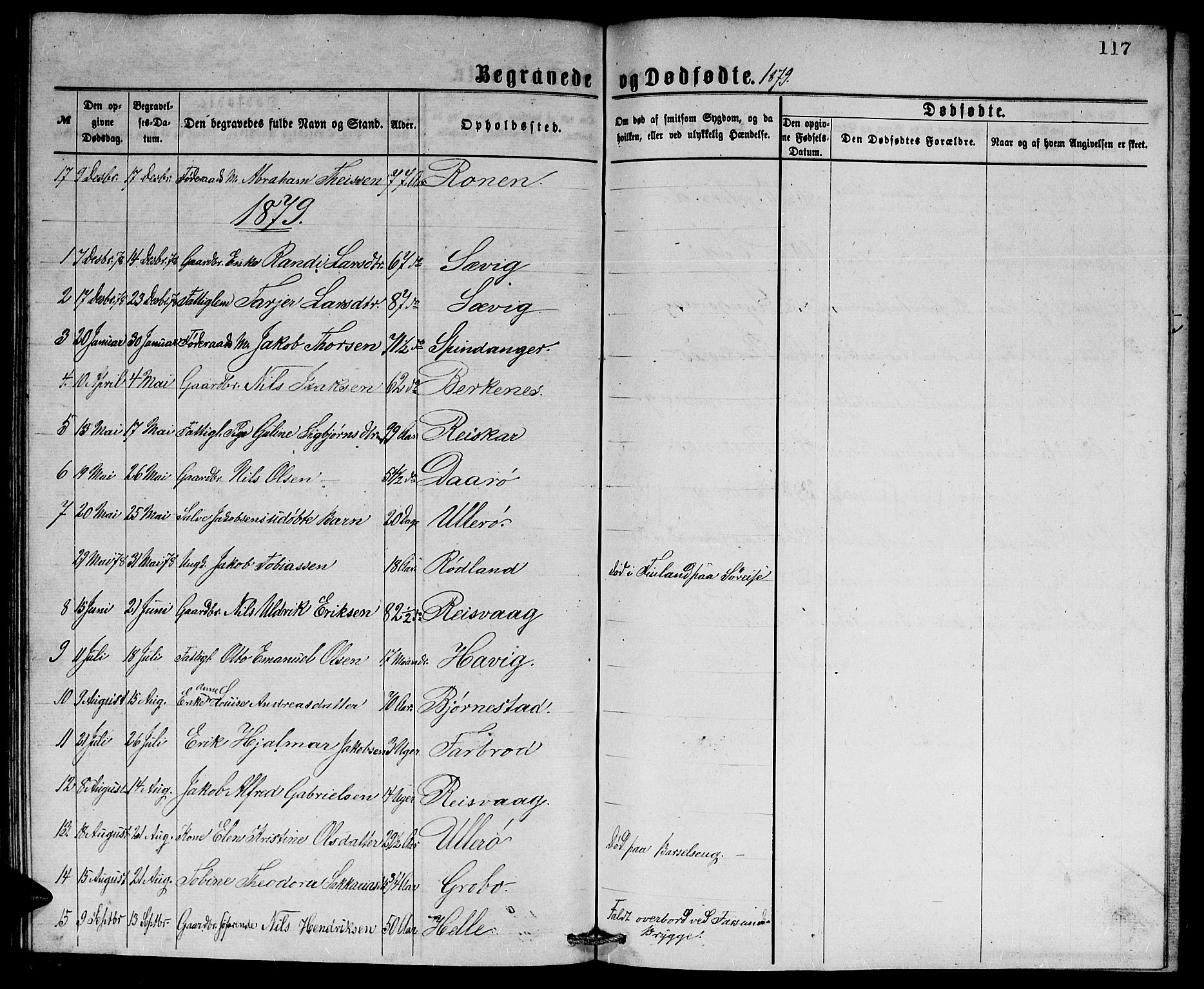 Herad sokneprestkontor, SAK/1111-0018/F/Fb/Fbb/L0003: Parish register (copy) no. B 3, 1872-1889, p. 117