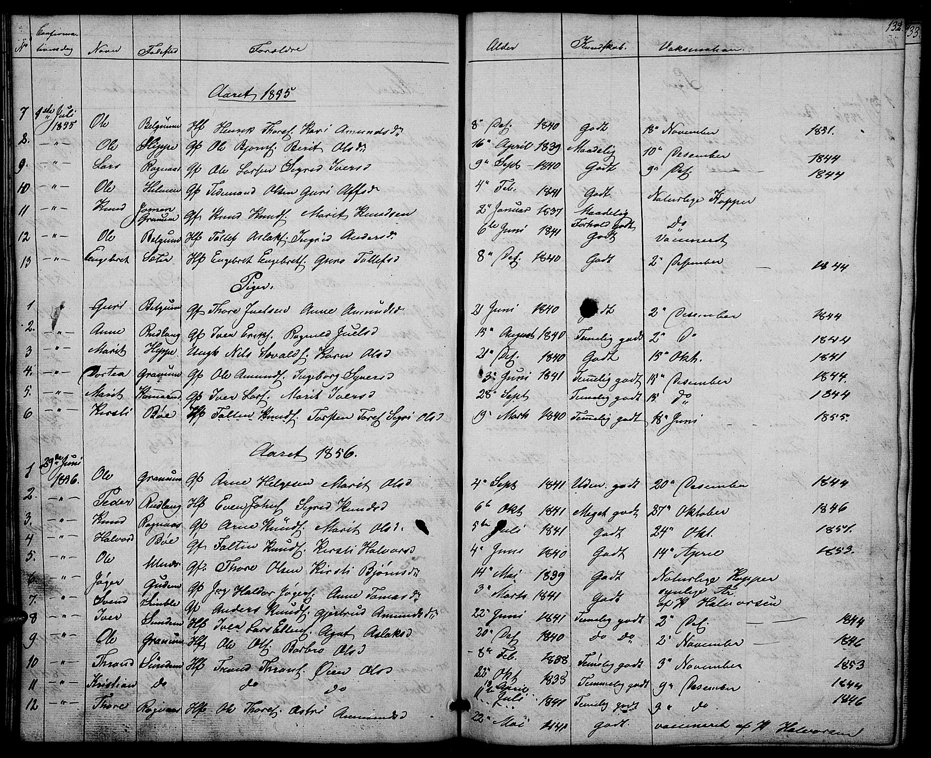 Nord-Aurdal prestekontor, SAH/PREST-132/H/Ha/Hab/L0004: Parish register (copy) no. 4, 1842-1882, p. 132