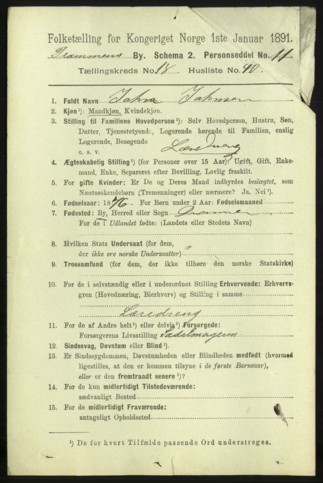 RA, 1891 census for 0602 Drammen, 1891, p. 11990