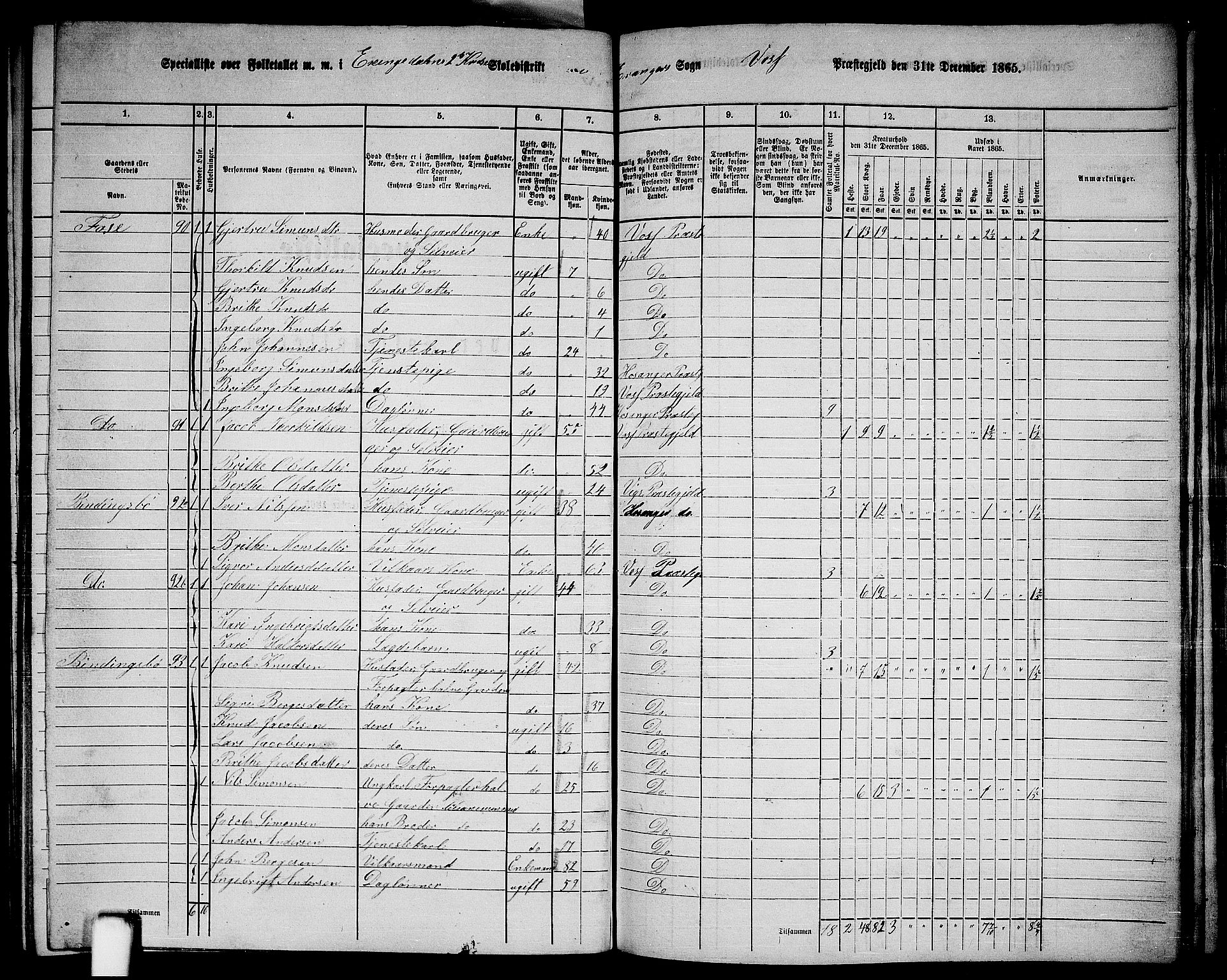 RA, 1865 census for Voss, 1865, p. 356