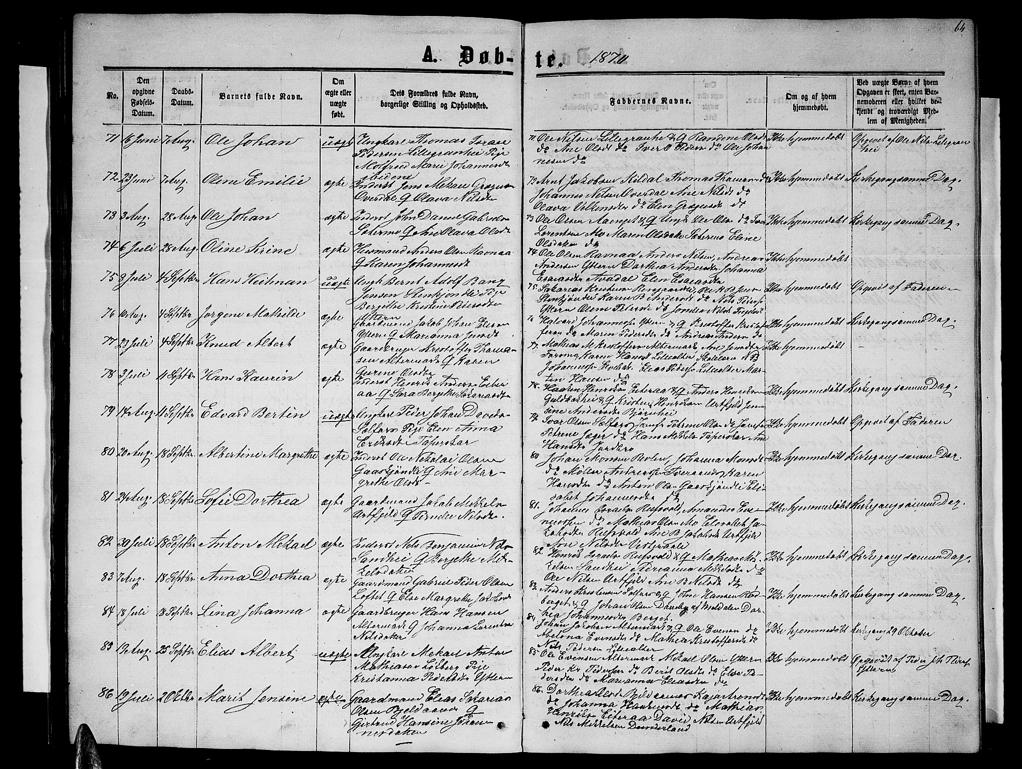 Ministerialprotokoller, klokkerbøker og fødselsregistre - Nordland, SAT/A-1459/827/L0415: Parish register (copy) no. 827C04, 1864-1886, p. 64