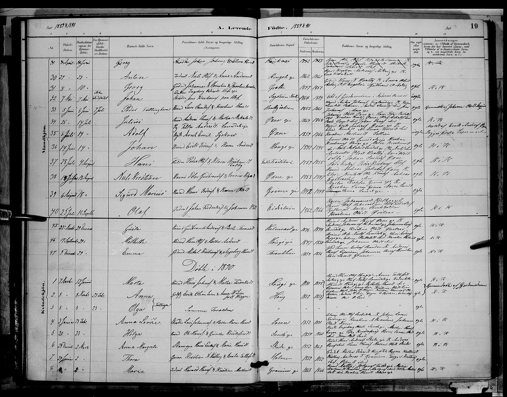 Søndre Land prestekontor, AV/SAH-PREST-122/L/L0002: Parish register (copy) no. 2, 1884-1900, p. 19