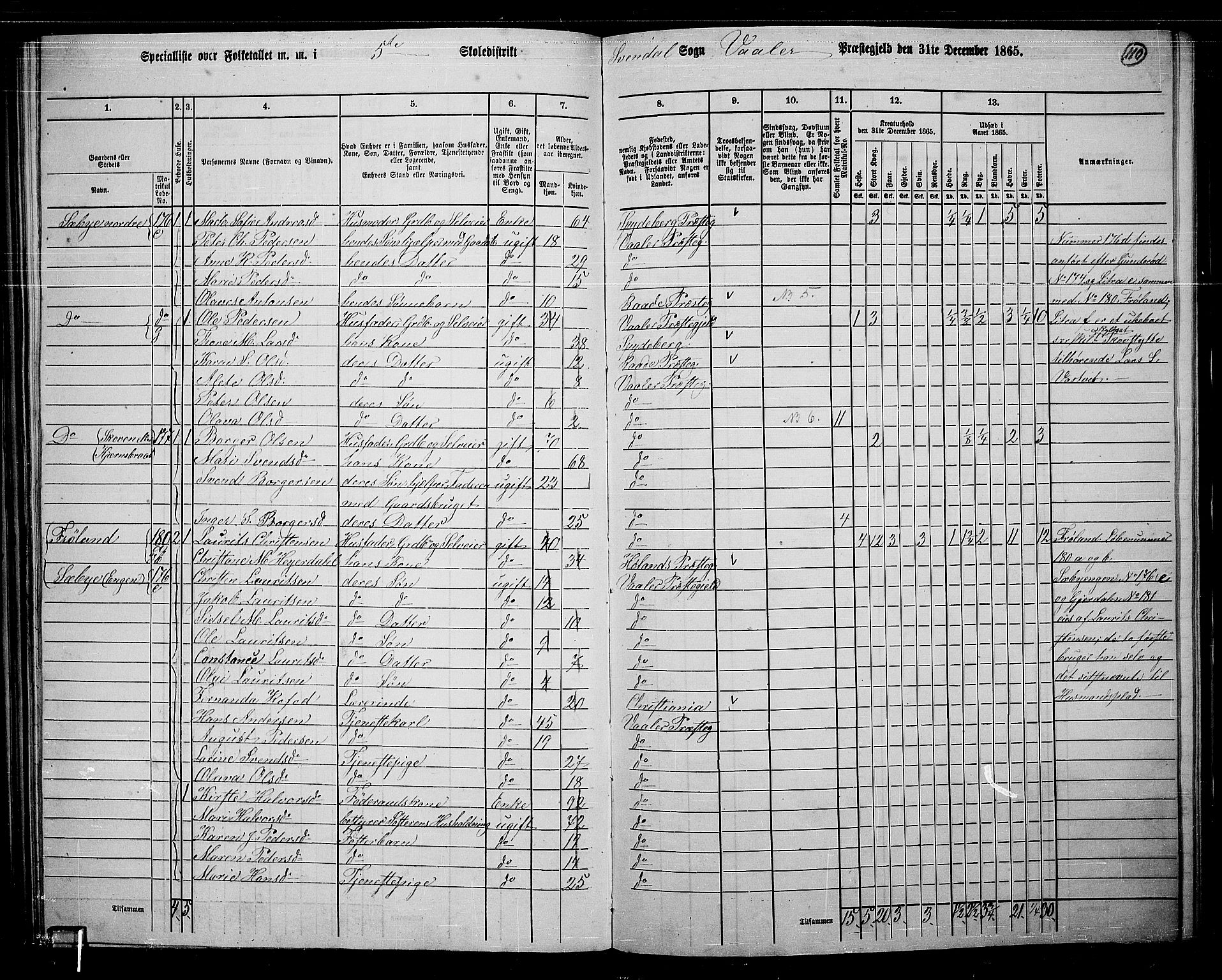 RA, 1865 census for Våler, 1865, p. 96