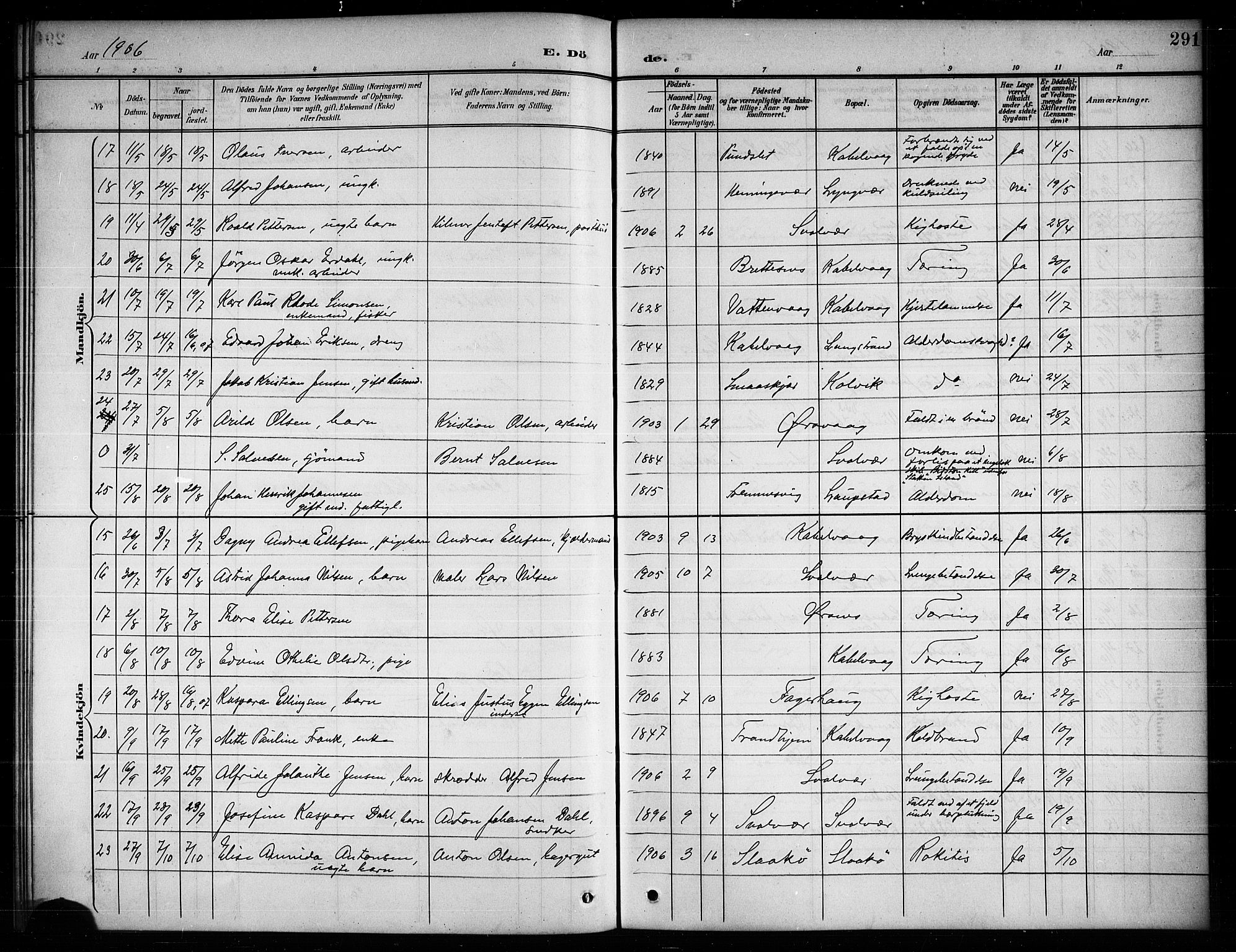 Ministerialprotokoller, klokkerbøker og fødselsregistre - Nordland, AV/SAT-A-1459/874/L1078: Parish register (copy) no. 874C07, 1900-1907, p. 291