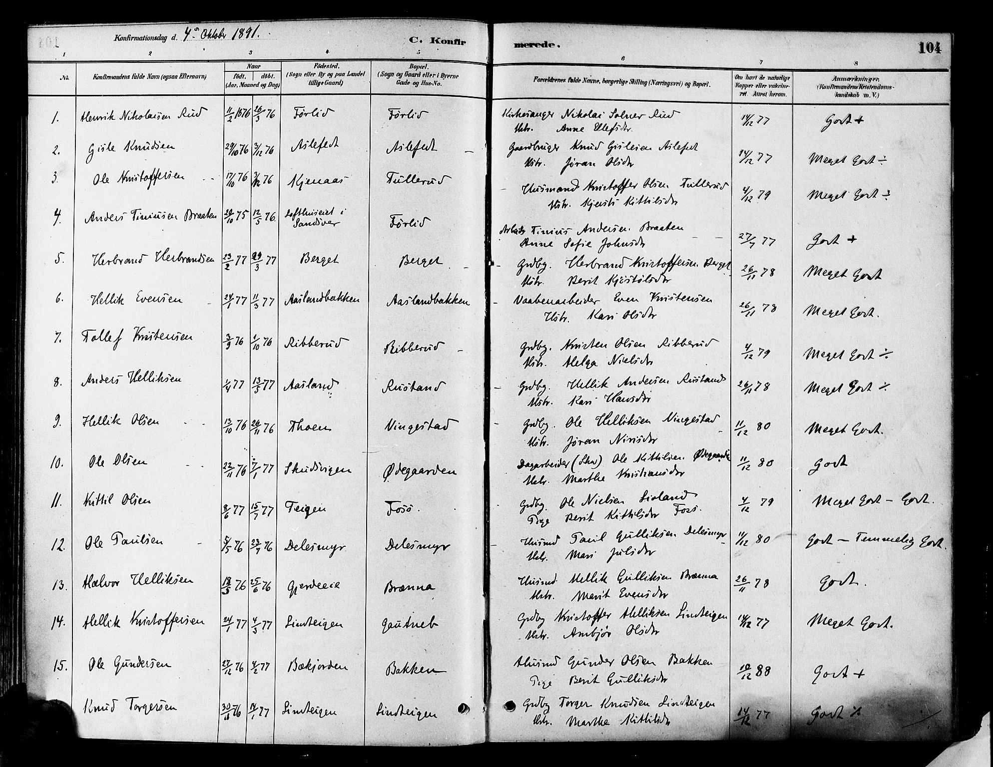 Flesberg kirkebøker, SAKO/A-18/F/Fa/L0008: Parish register (official) no. I 8, 1879-1899, p. 104
