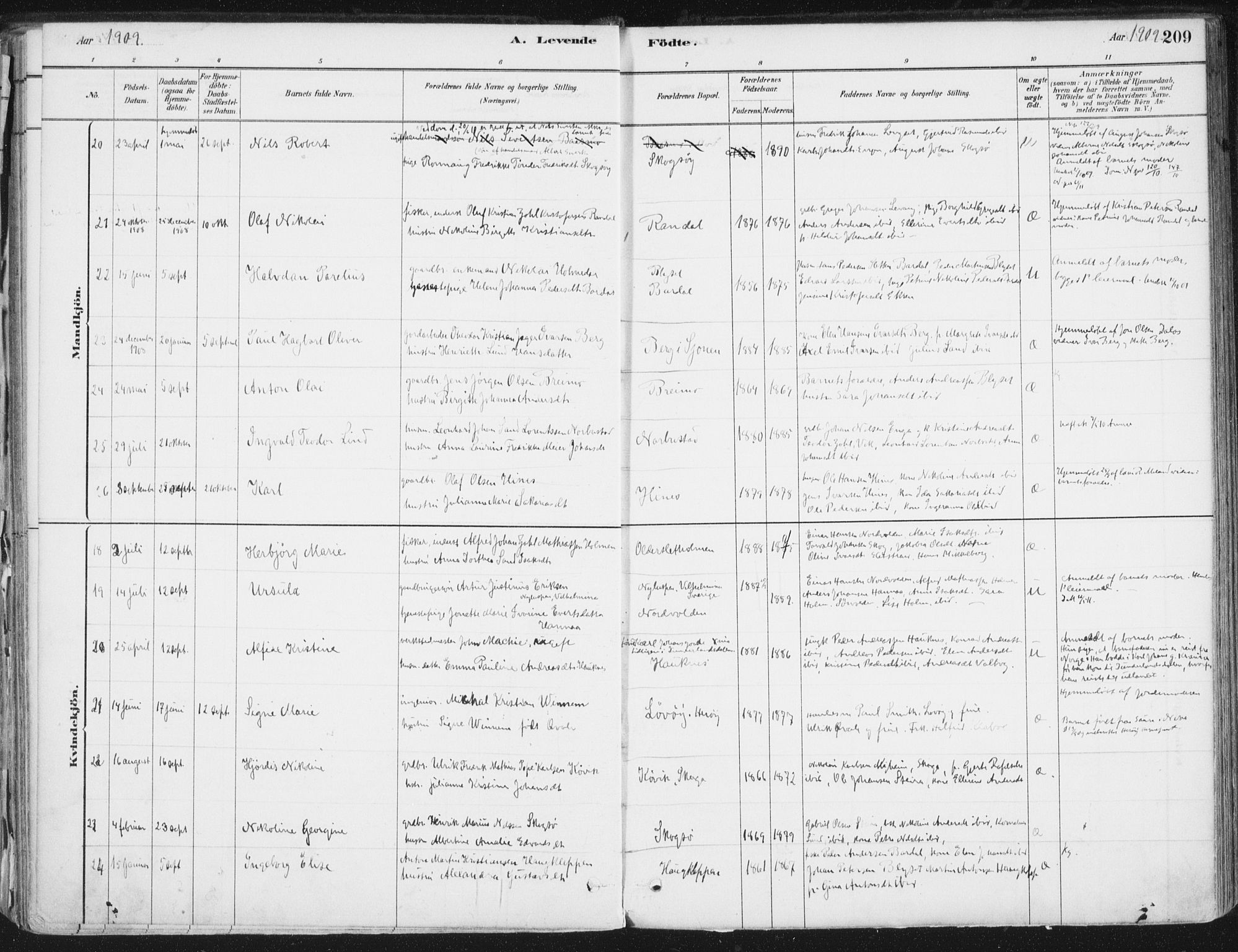 Ministerialprotokoller, klokkerbøker og fødselsregistre - Nordland, AV/SAT-A-1459/838/L0552: Parish register (official) no. 838A10, 1880-1910, p. 209