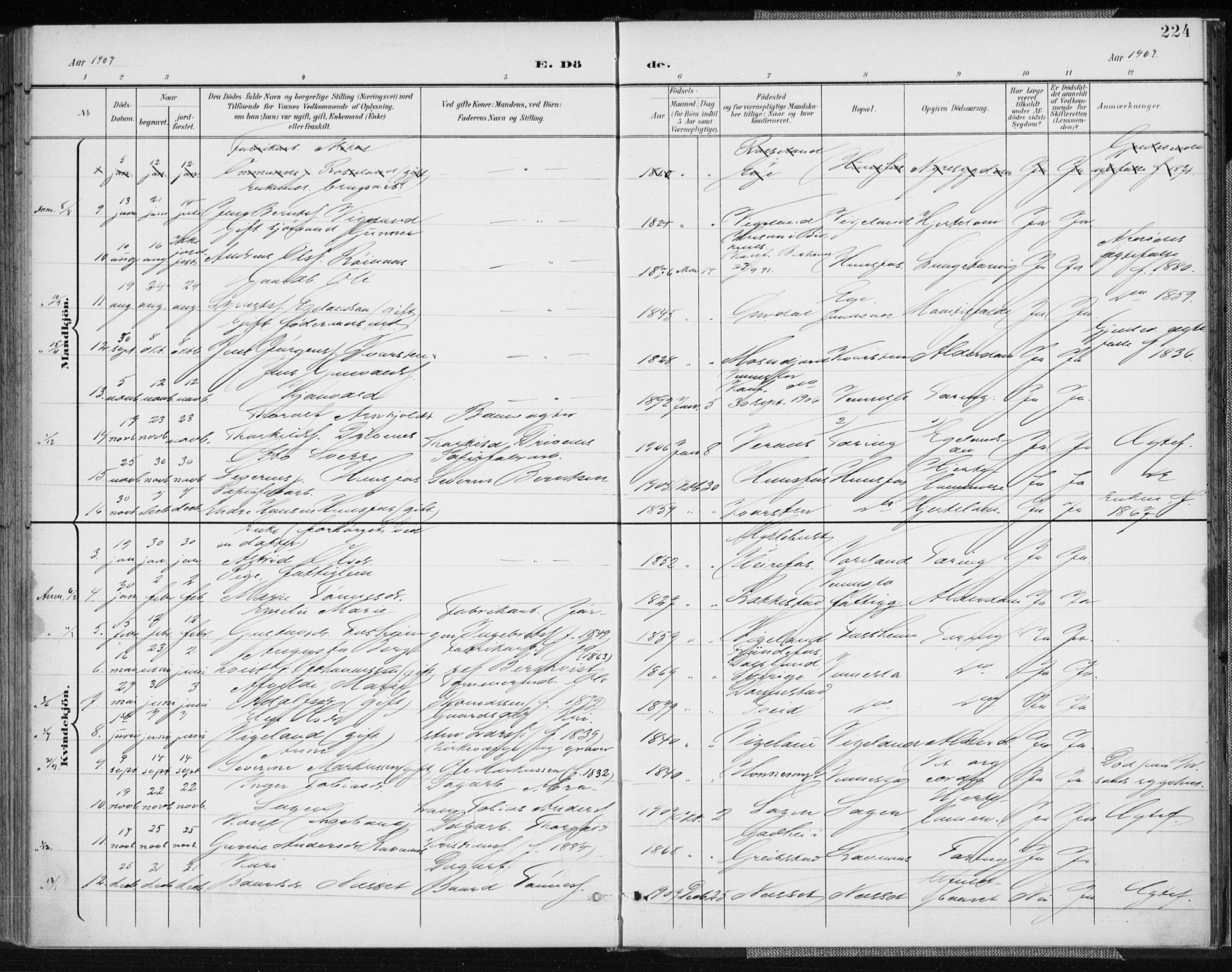 Vennesla sokneprestkontor, AV/SAK-1111-0045/Fa/Fab/L0005: Parish register (official) no. A 5, 1897-1909, p. 224