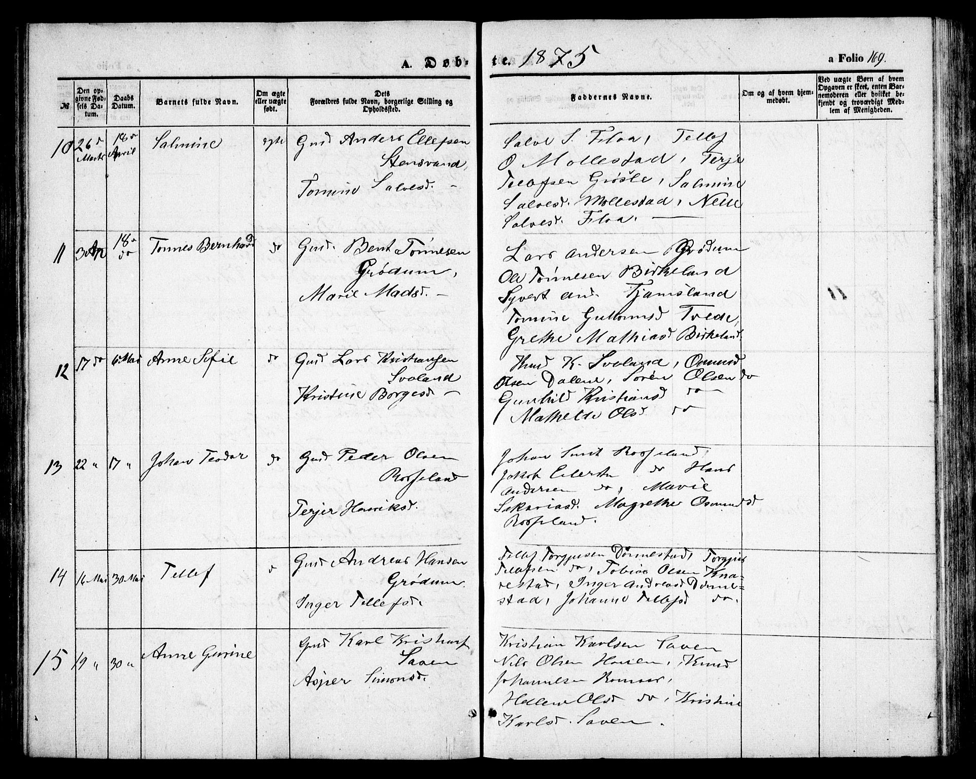 Birkenes sokneprestkontor, SAK/1111-0004/F/Fb/L0002: Parish register (copy) no. B 2, 1849-1876, p. 169