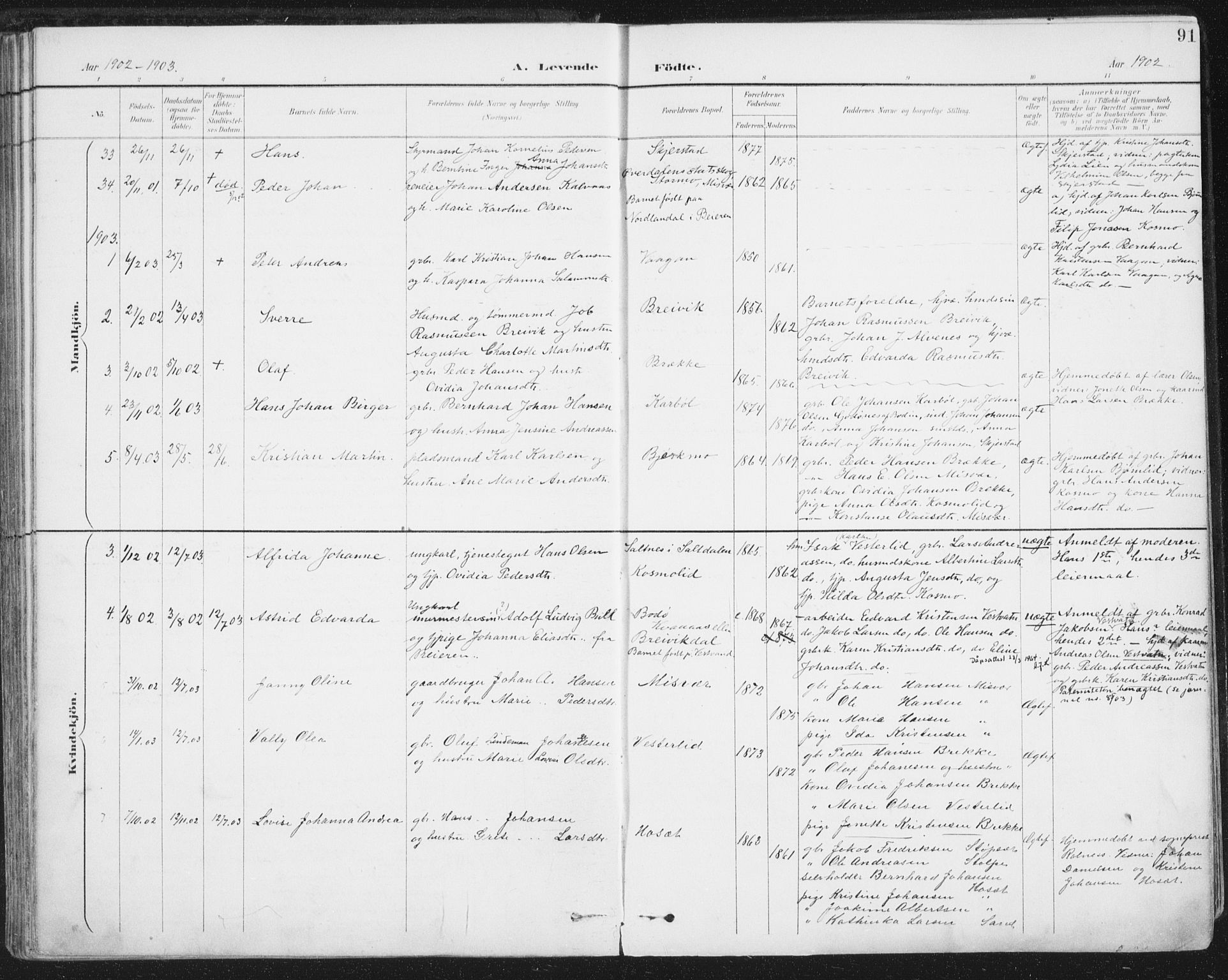Ministerialprotokoller, klokkerbøker og fødselsregistre - Nordland, SAT/A-1459/852/L0741: Parish register (official) no. 852A11, 1894-1917, p. 91