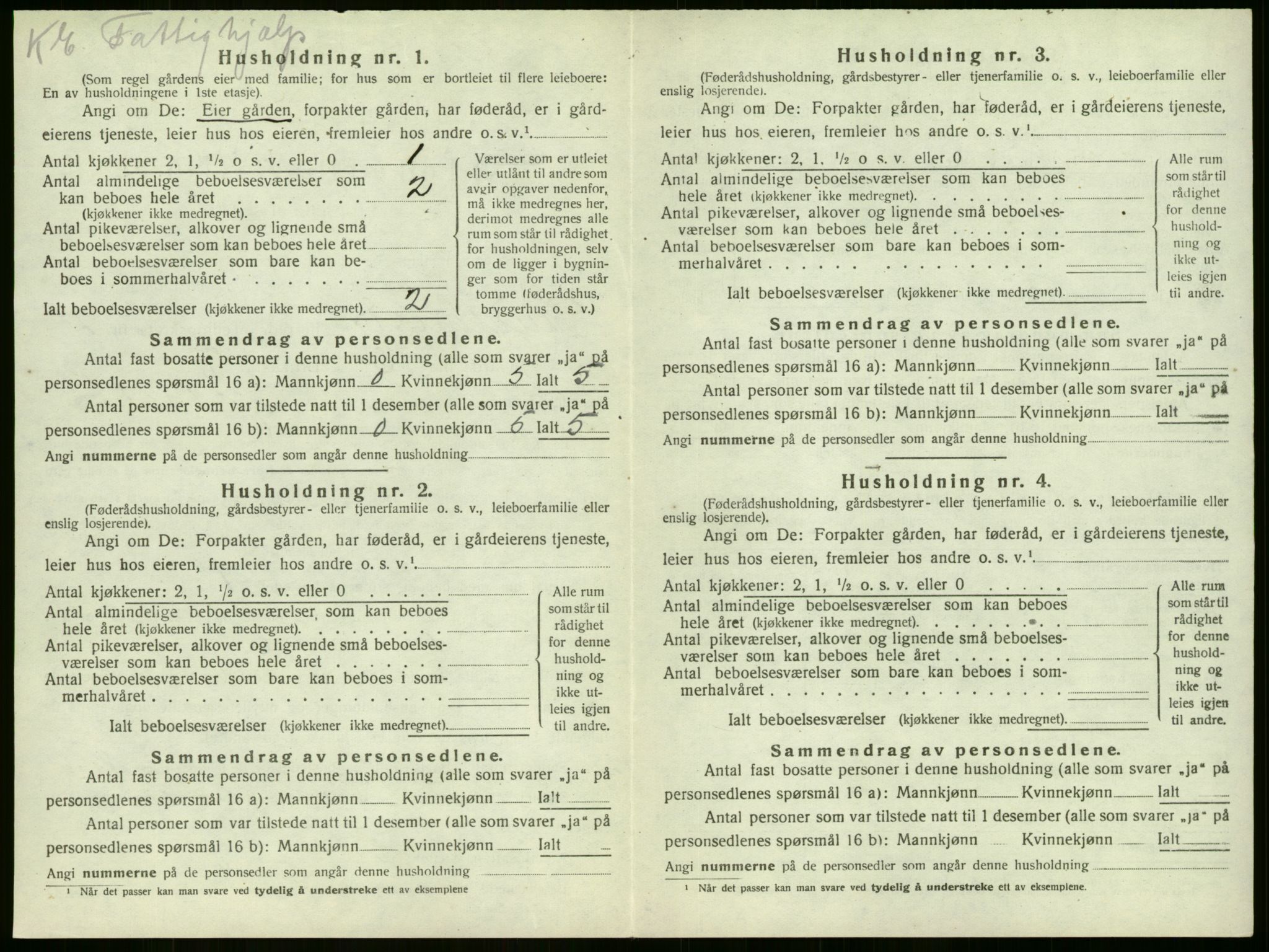 SAKO, 1920 census for Sandeherred, 1920, p. 163