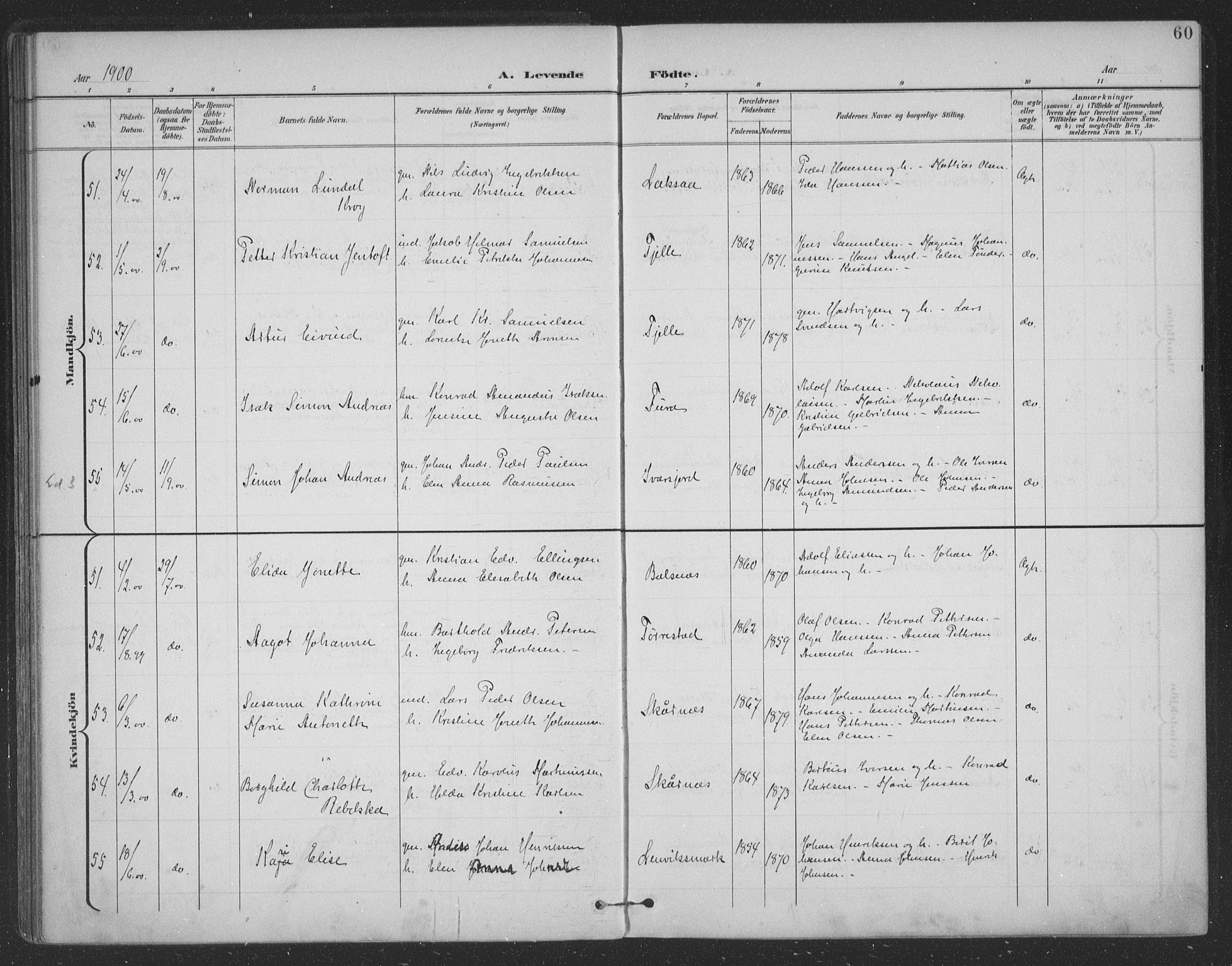 Ministerialprotokoller, klokkerbøker og fødselsregistre - Nordland, AV/SAT-A-1459/863/L0899: Parish register (official) no. 863A11, 1897-1906, p. 60