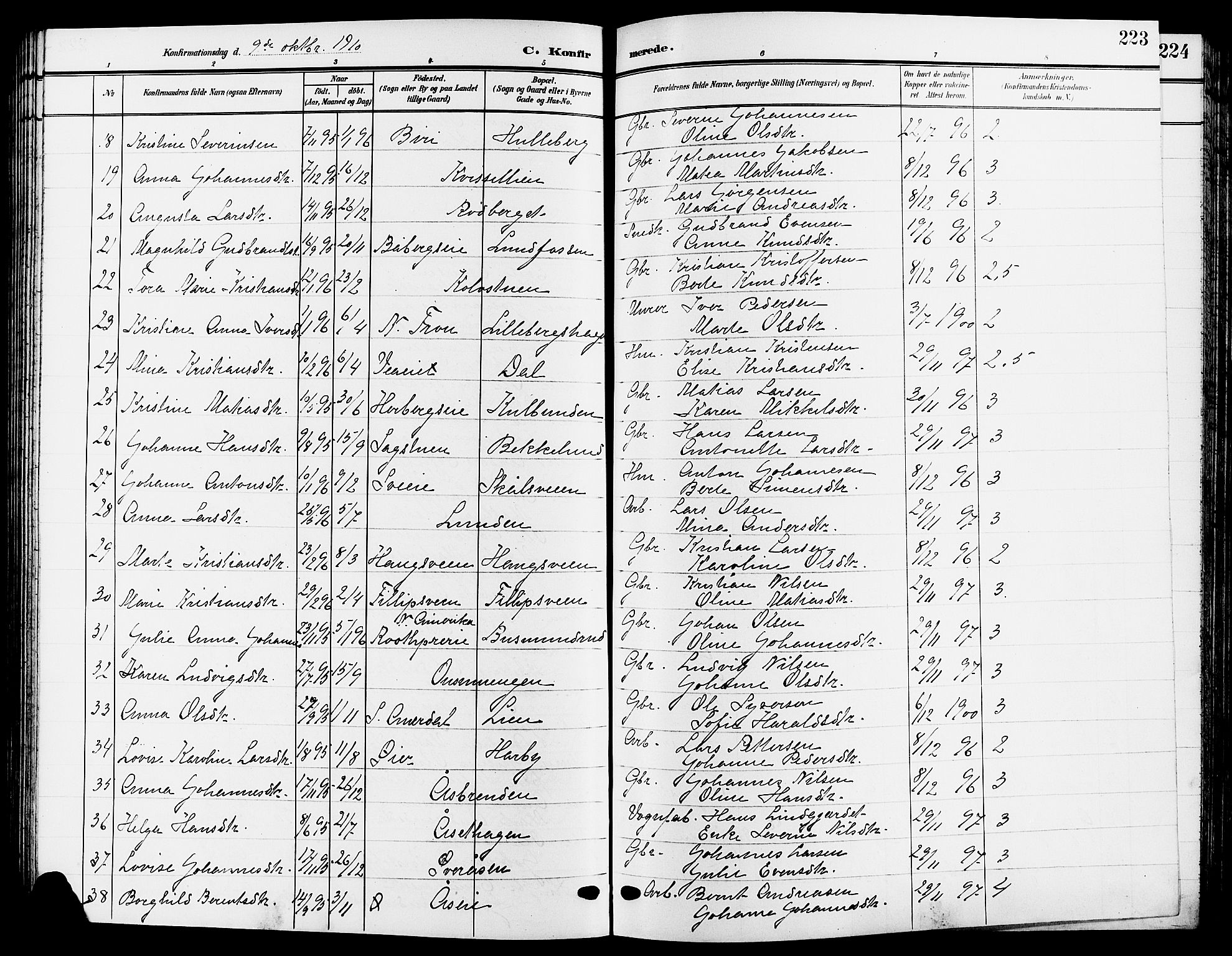 Ringsaker prestekontor, AV/SAH-PREST-014/L/La/L0015: Parish register (copy) no. 15, 1903-1912, p. 223