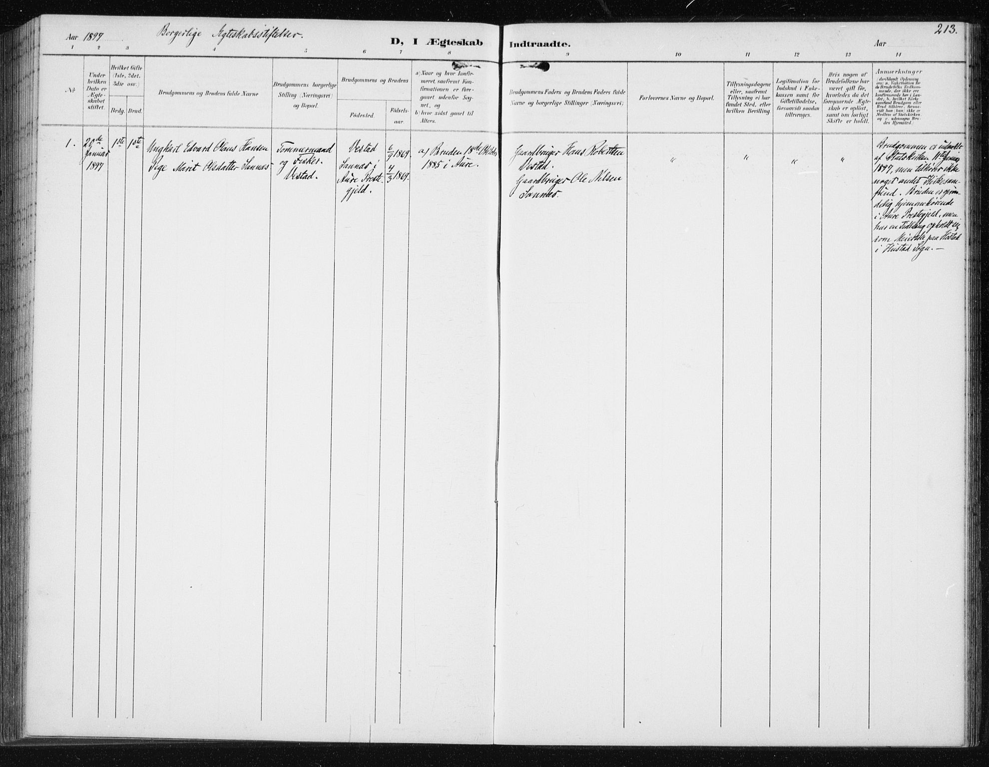 Ministerialprotokoller, klokkerbøker og fødselsregistre - Møre og Romsdal, AV/SAT-A-1454/566/L0773: Parish register (copy) no. 566C02, 1892-1909, p. 213