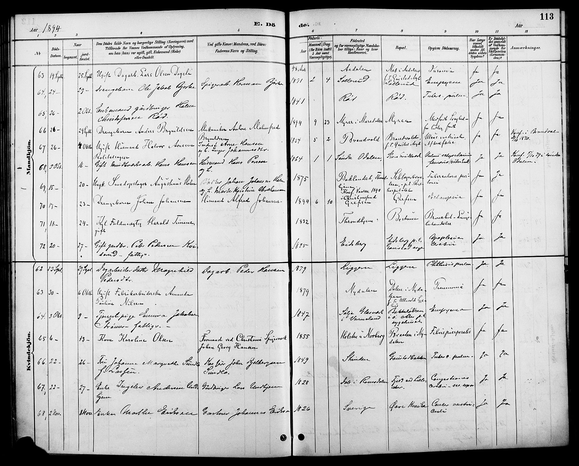 Vestre Aker prestekontor Kirkebøker, AV/SAO-A-10025/F/Fa/L0011: Parish register (official) no. 11, 1886-1904, p. 113