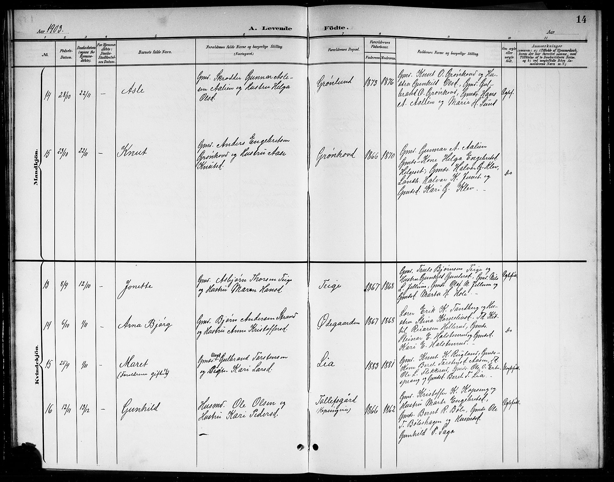 Sigdal kirkebøker, AV/SAKO-A-245/G/Gb/L0003: Parish register (copy) no. II 3, 1901-1916, p. 14