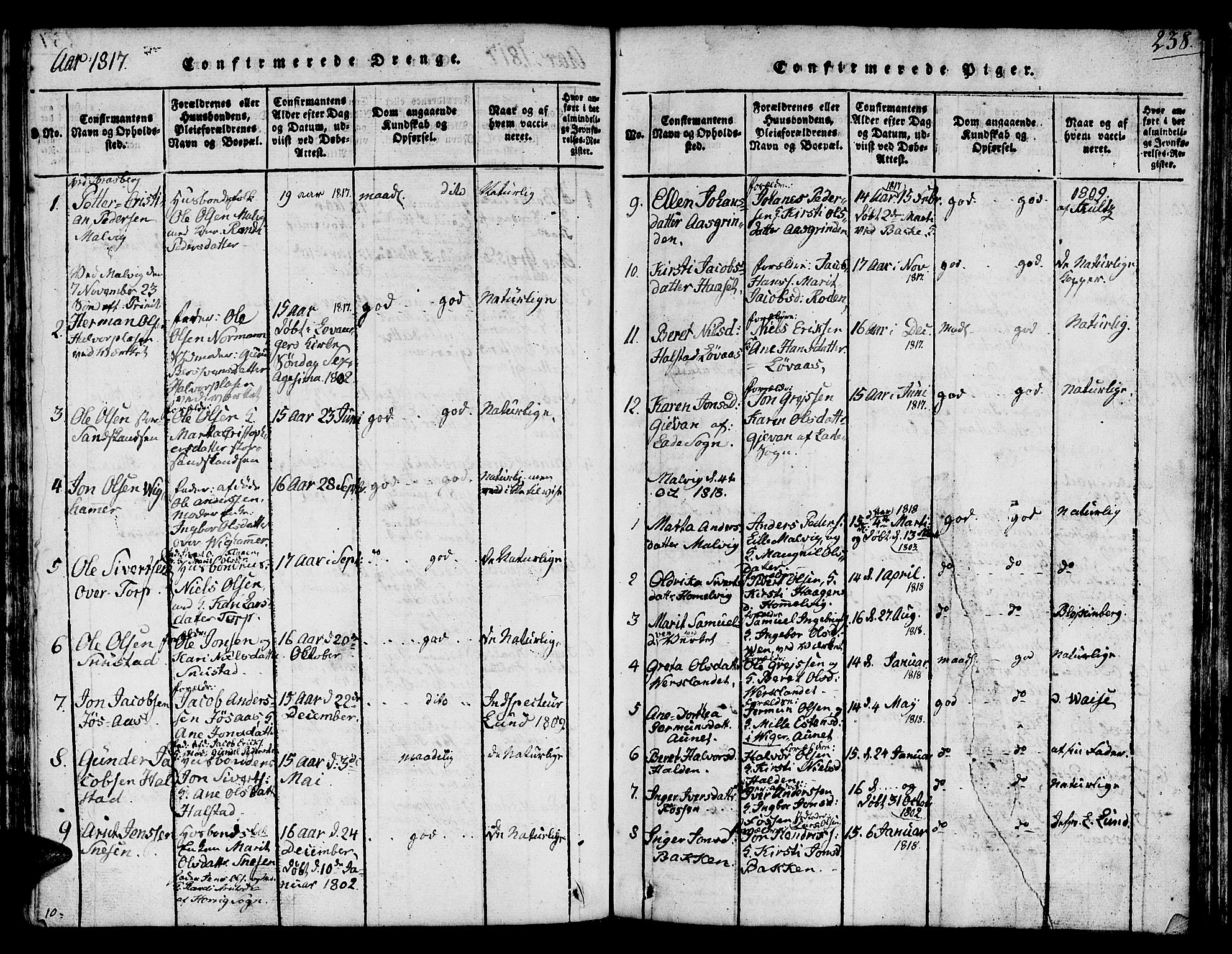 Ministerialprotokoller, klokkerbøker og fødselsregistre - Sør-Trøndelag, SAT/A-1456/616/L0420: Parish register (copy) no. 616C03, 1817-1835, p. 238