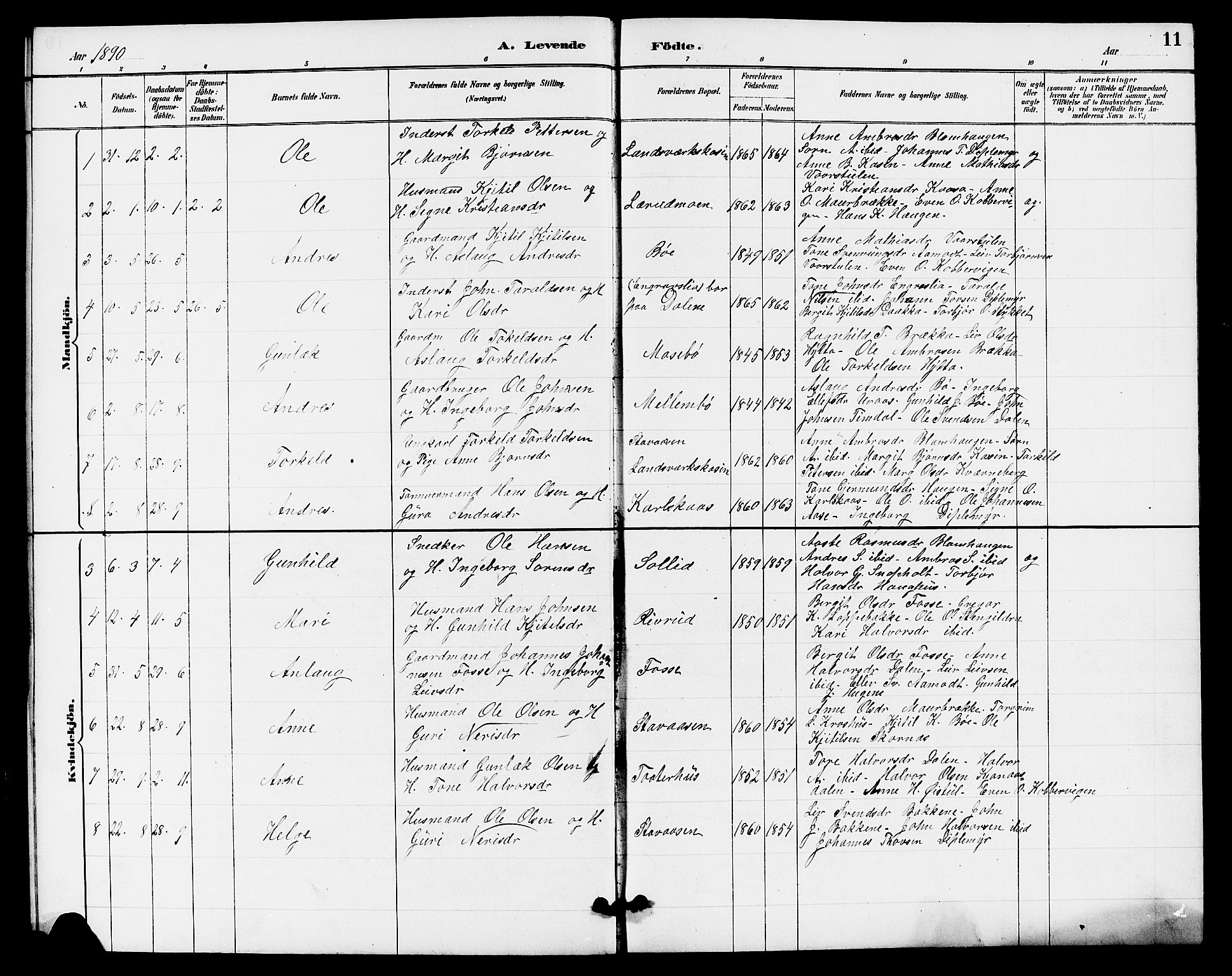 Hjartdal kirkebøker, SAKO/A-270/G/Gb/L0003: Parish register (copy) no. II 3, 1884-1899, p. 11