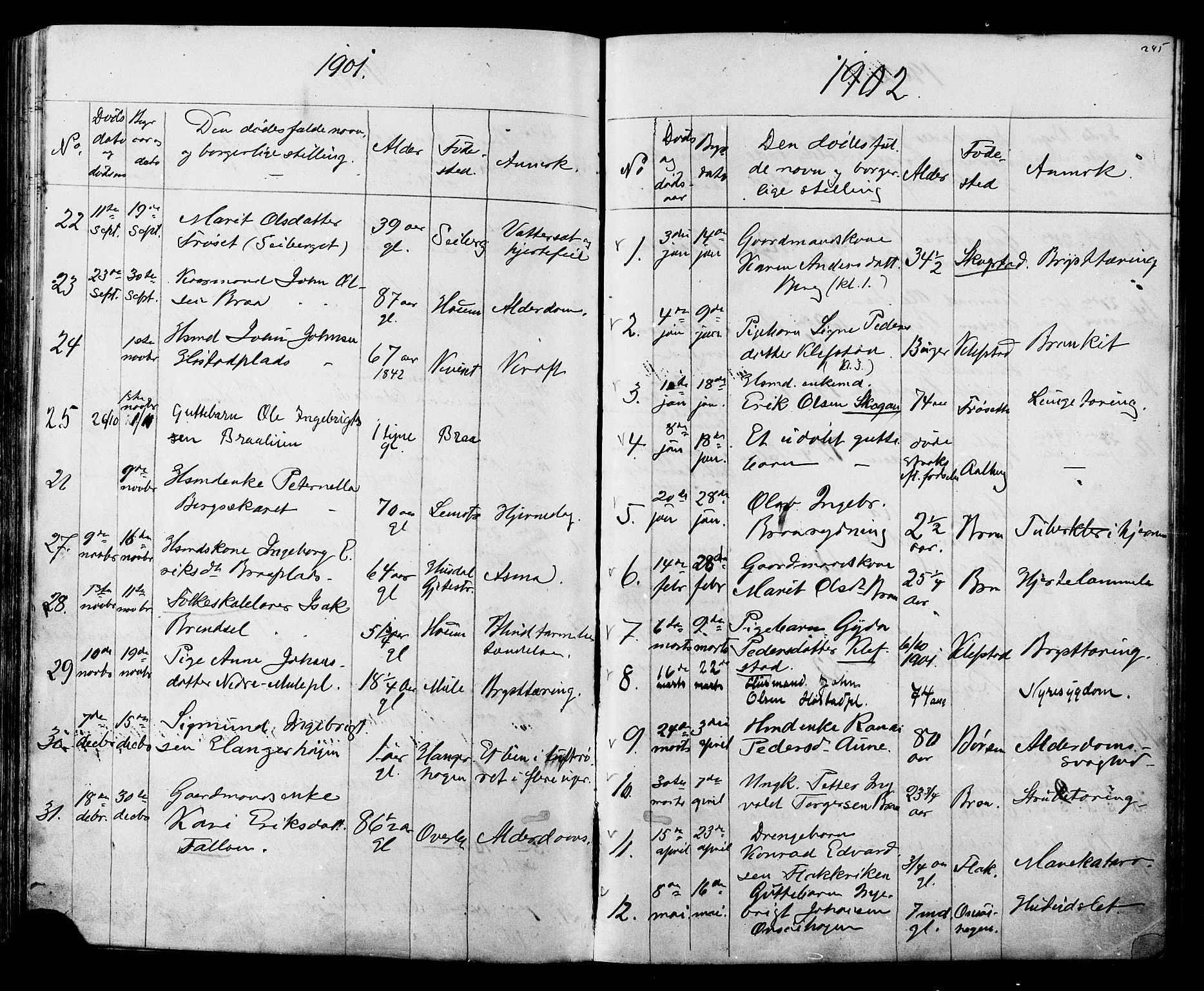 Ministerialprotokoller, klokkerbøker og fødselsregistre - Sør-Trøndelag, SAT/A-1456/612/L0387: Parish register (copy) no. 612C03, 1874-1908, p. 245