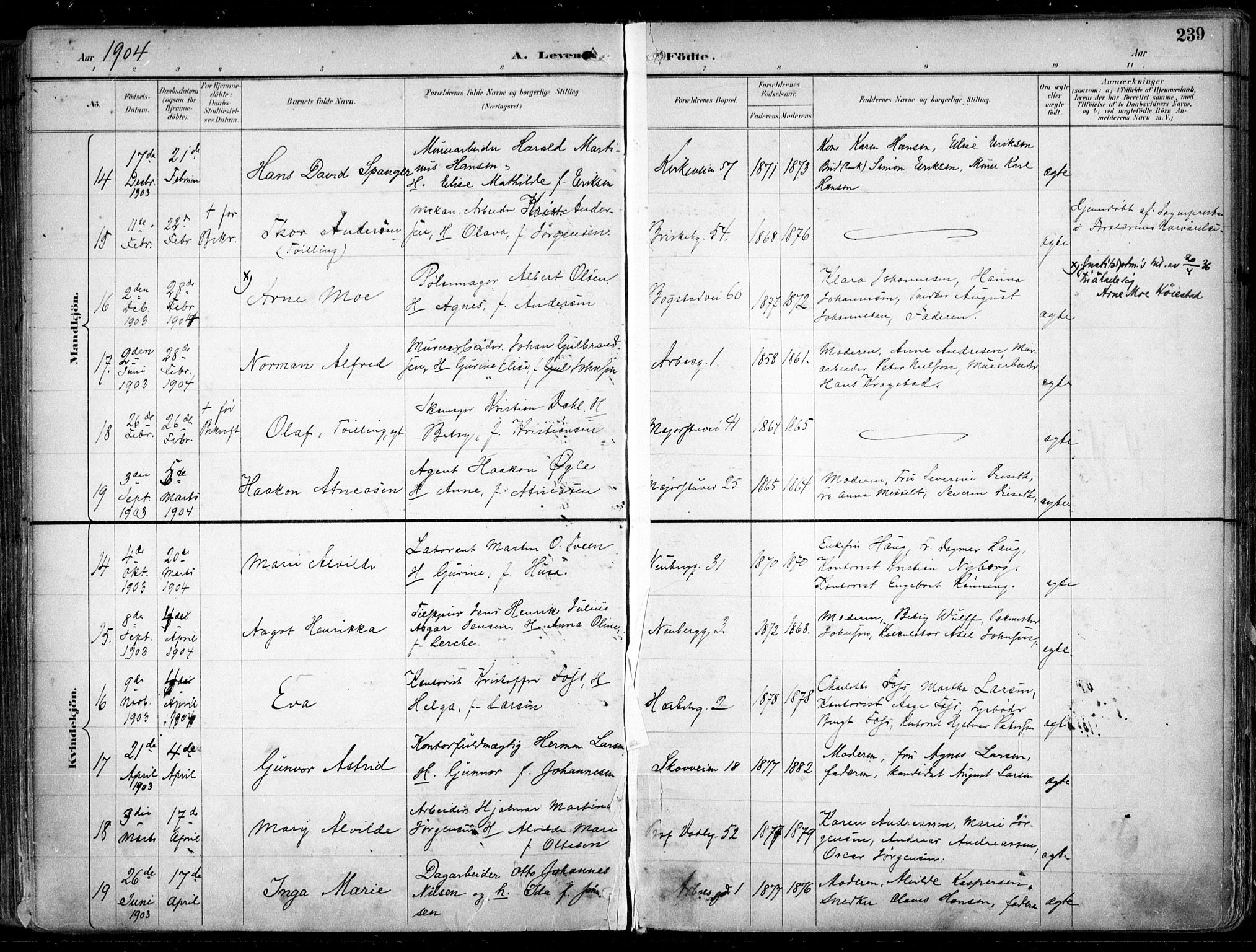 Uranienborg prestekontor Kirkebøker, AV/SAO-A-10877/F/Fa/L0005: Parish register (official) no. 5, 1895-1907, p. 239