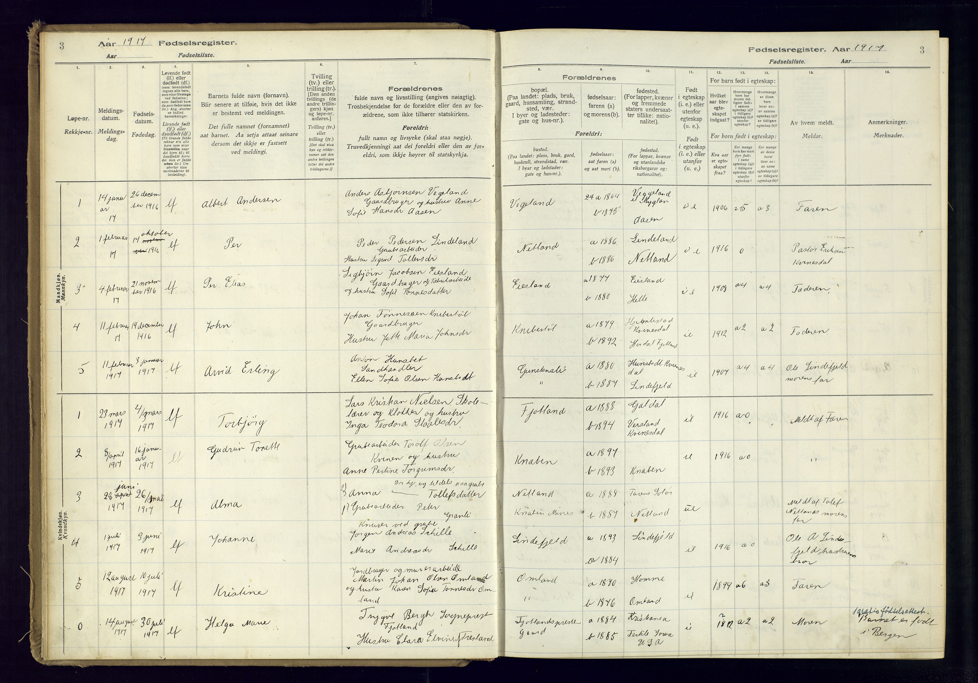 Fjotland sokneprestkontor, AV/SAK-1111-0010/J/Ja/L0001: Birth register no. 1, 1916-1981, p. 3