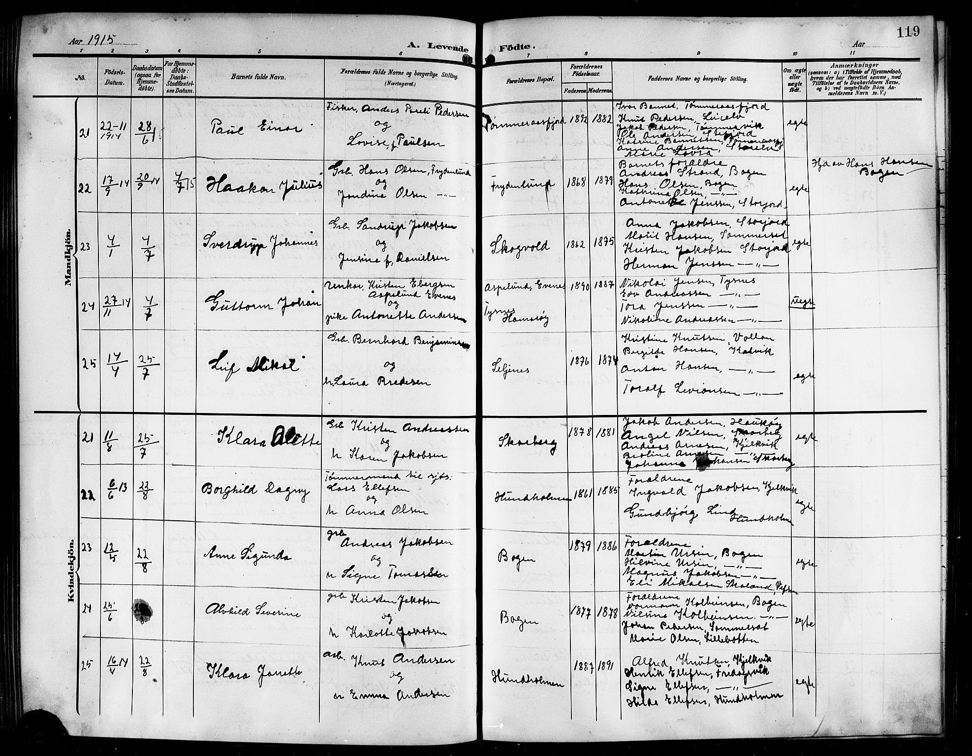 Ministerialprotokoller, klokkerbøker og fødselsregistre - Nordland, AV/SAT-A-1459/861/L0877: Parish register (copy) no. 861C03, 1903-1919, p. 119