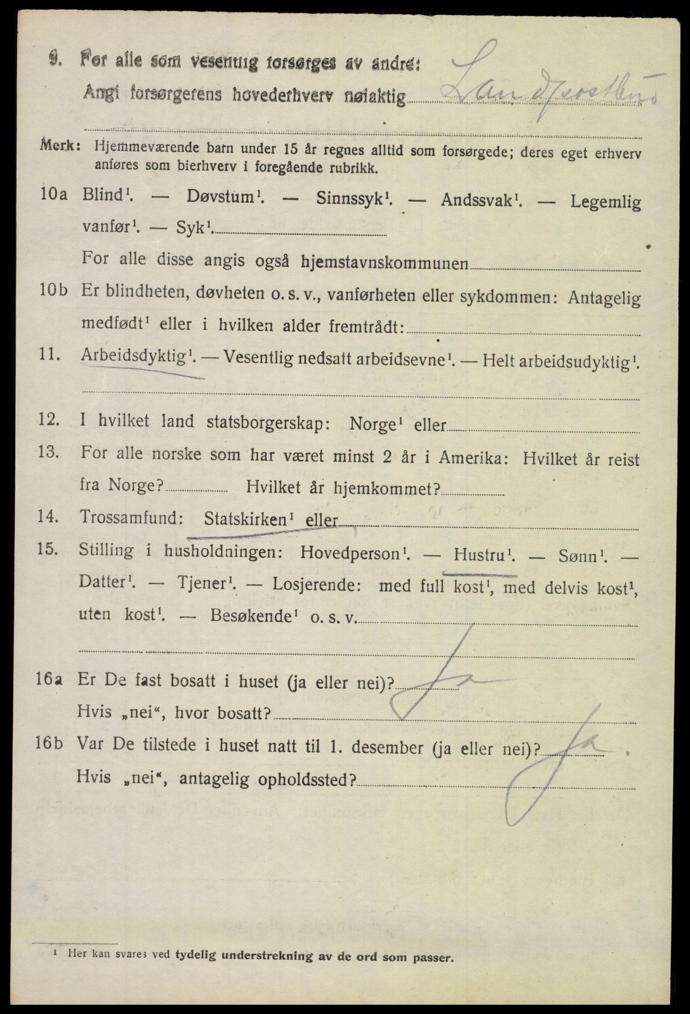 SAH, 1920 census for Nord-Aurdal, 1920, p. 2029