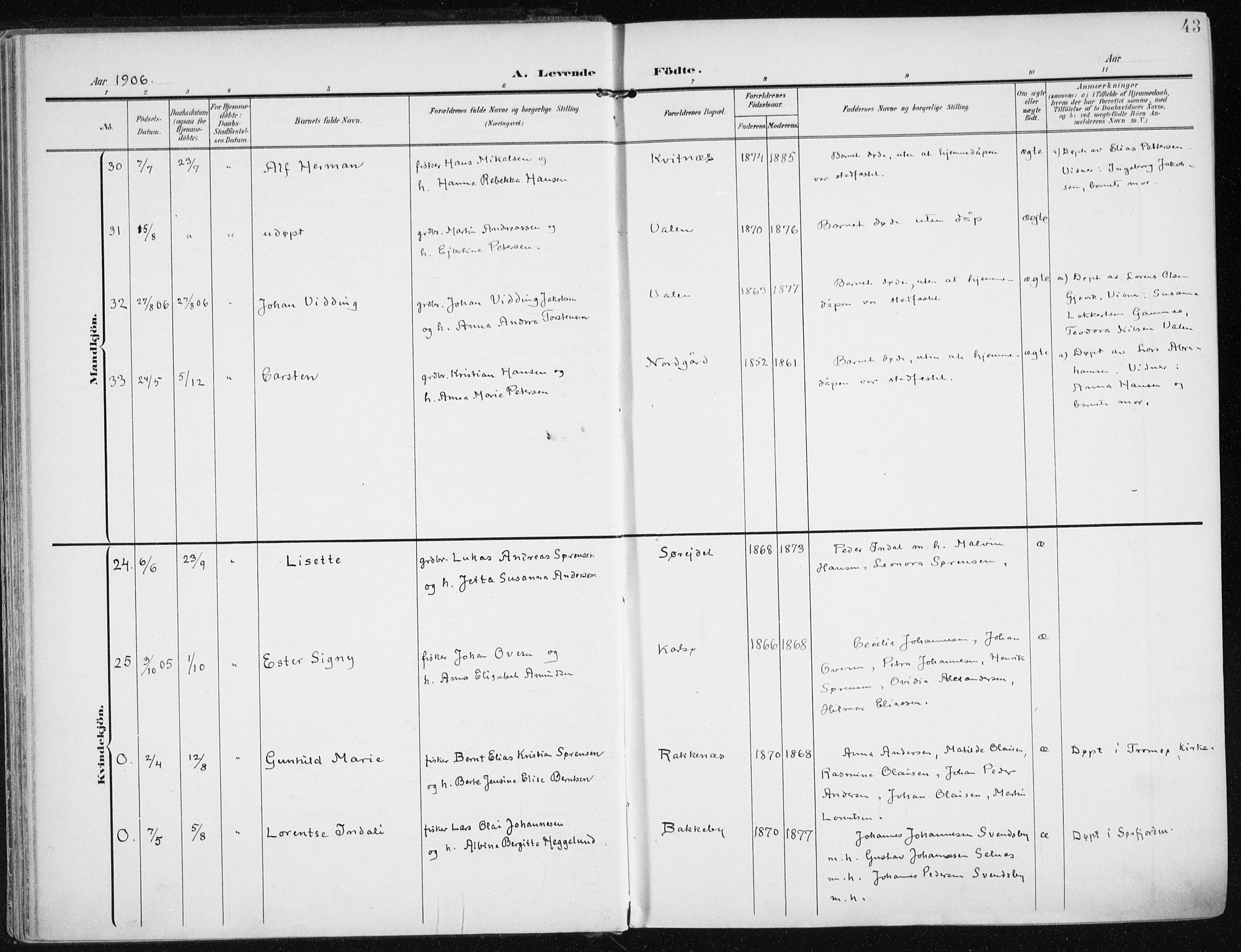 Karlsøy sokneprestembete, AV/SATØ-S-1299/H/Ha/Haa/L0014kirke: Parish register (official) no. 14, 1903-1917, p. 43