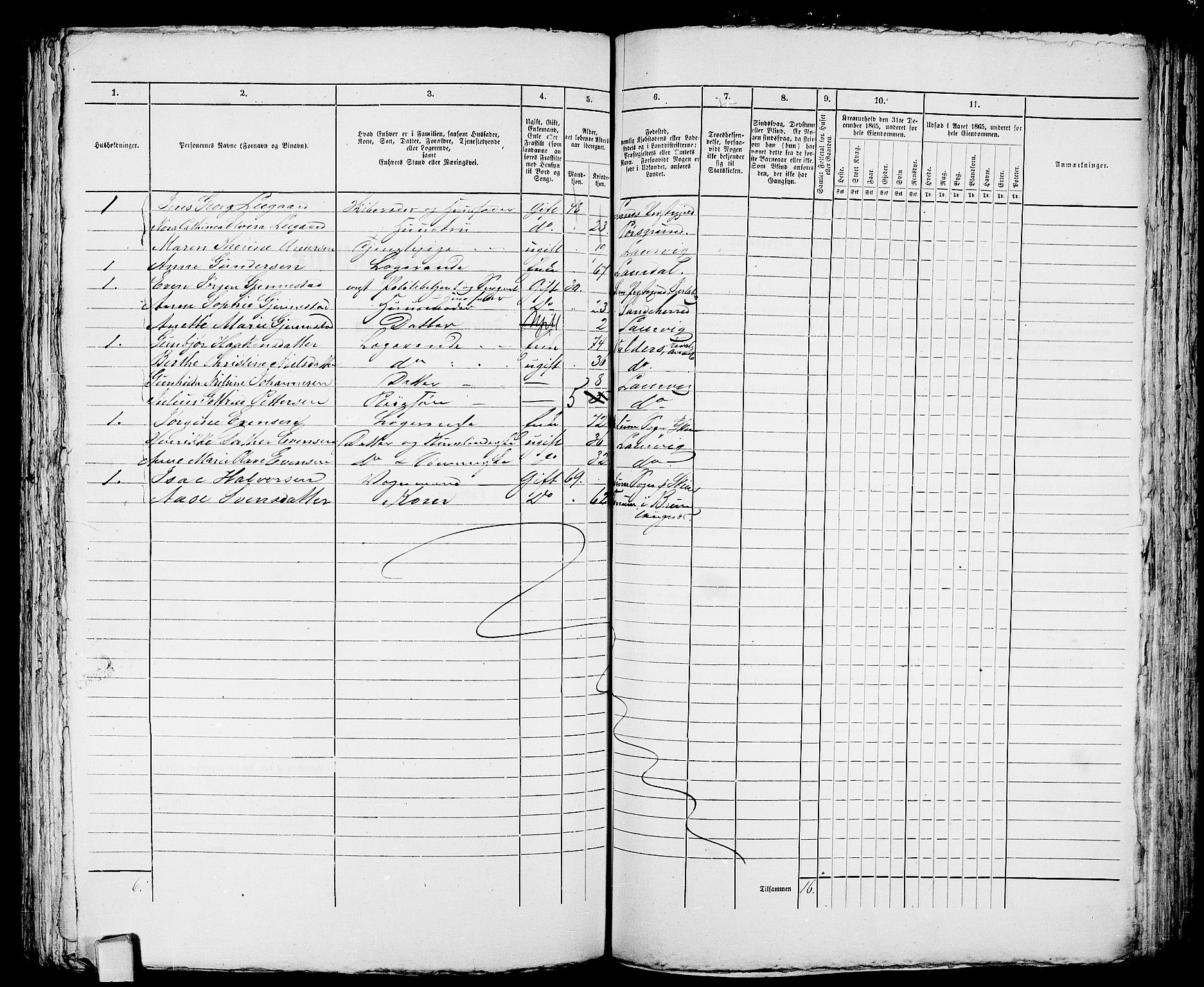 RA, 1865 census for Larvik, 1865, p. 503